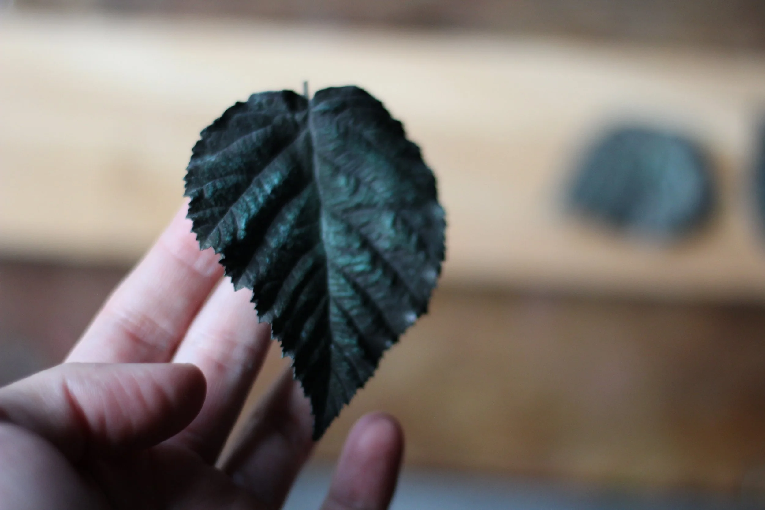 bramble_bronze_leaf_01_03.JPG