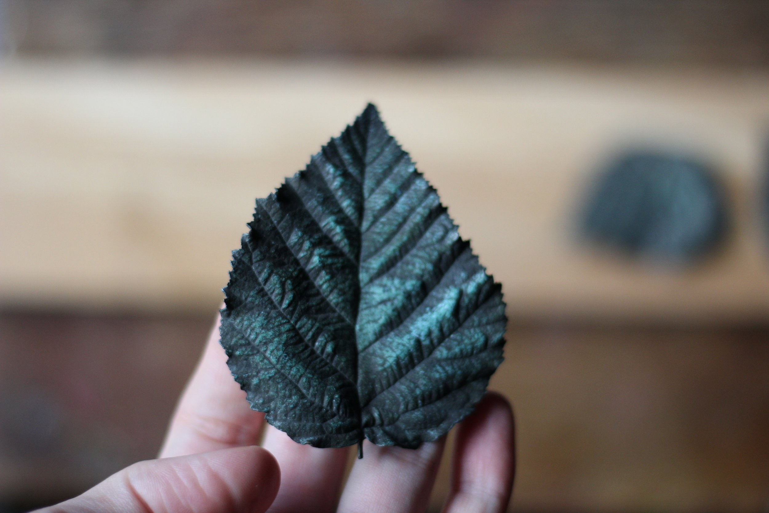bramble_bronze_leaf_01_02.JPG
