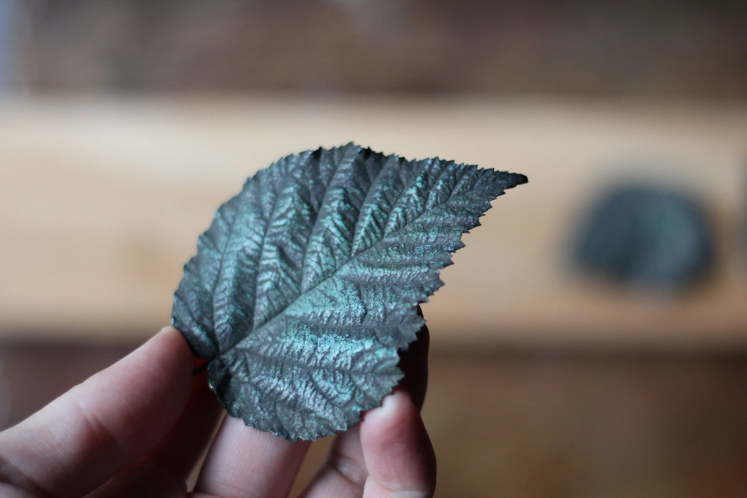 bramble_bronze_leaf_01.JPG