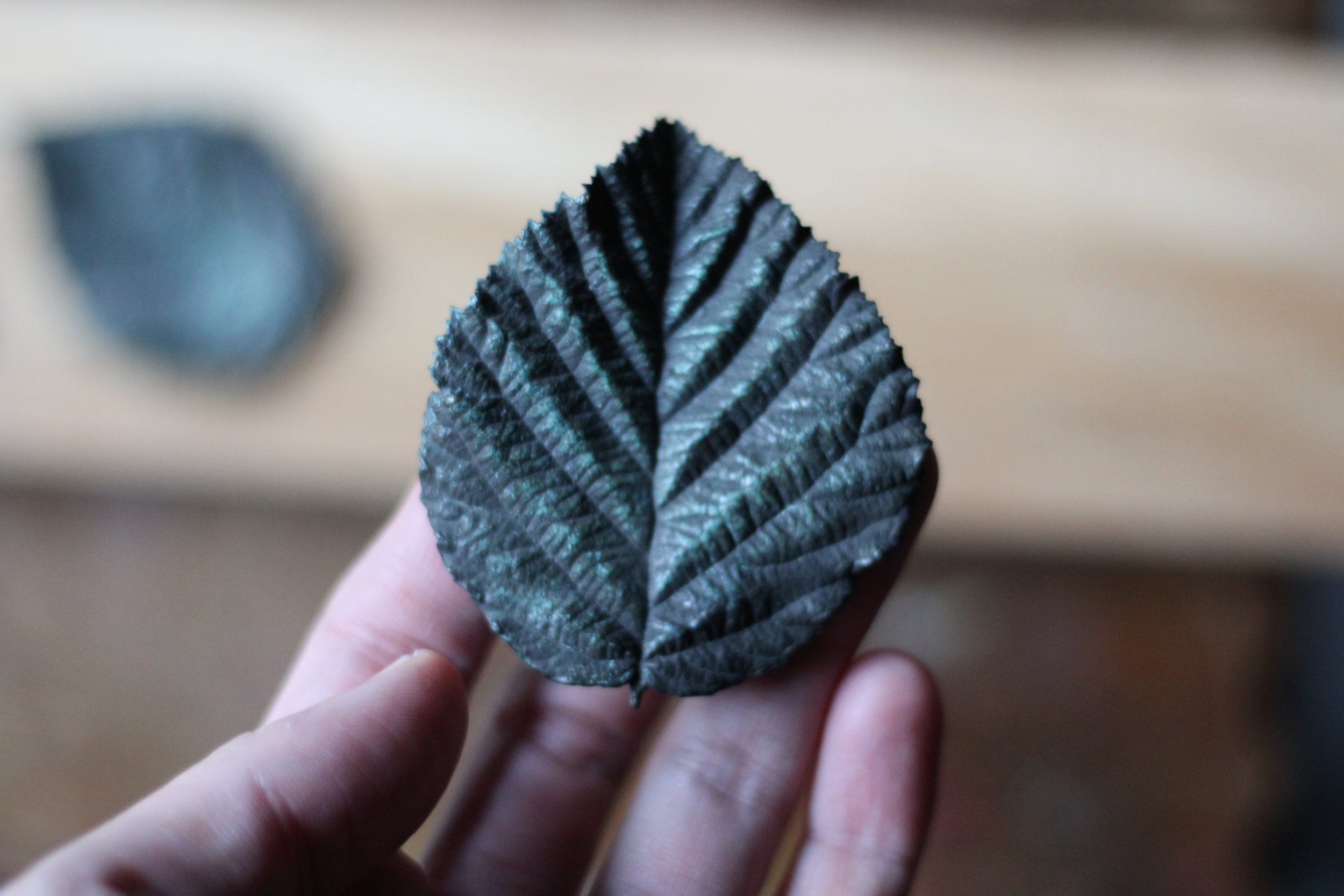 bramble_bronze_leaf_03_02.JPG