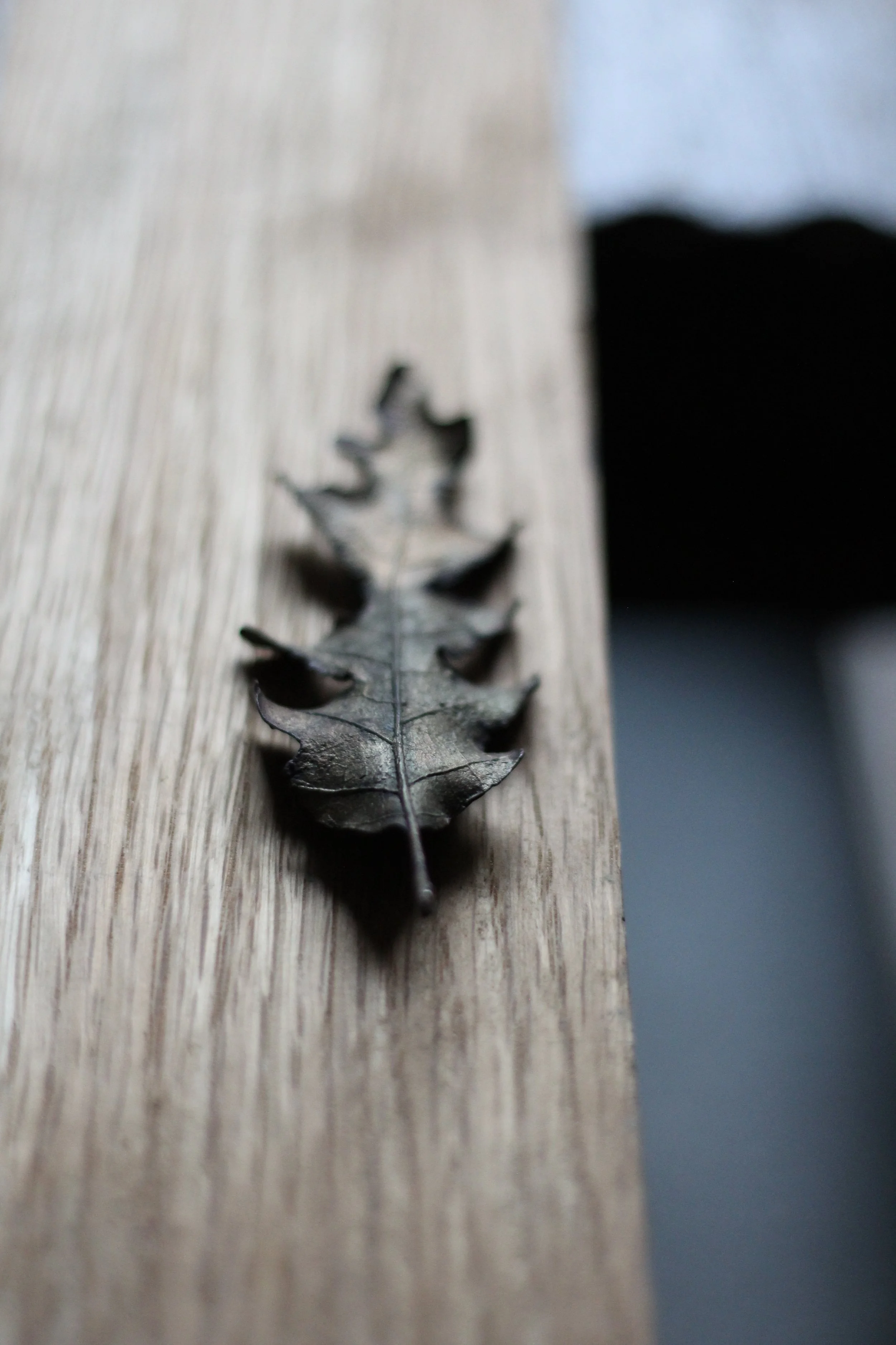 oak-bronze-leaf_01_06.JPG
