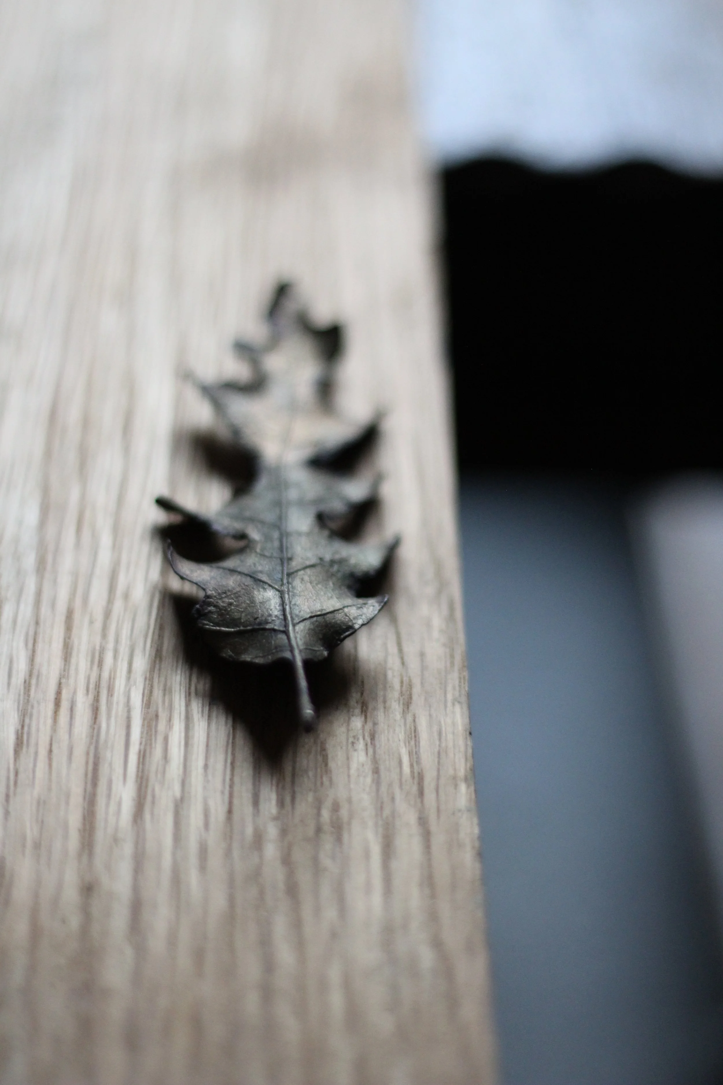 oak-bronze-leaf_01_05.JPG
