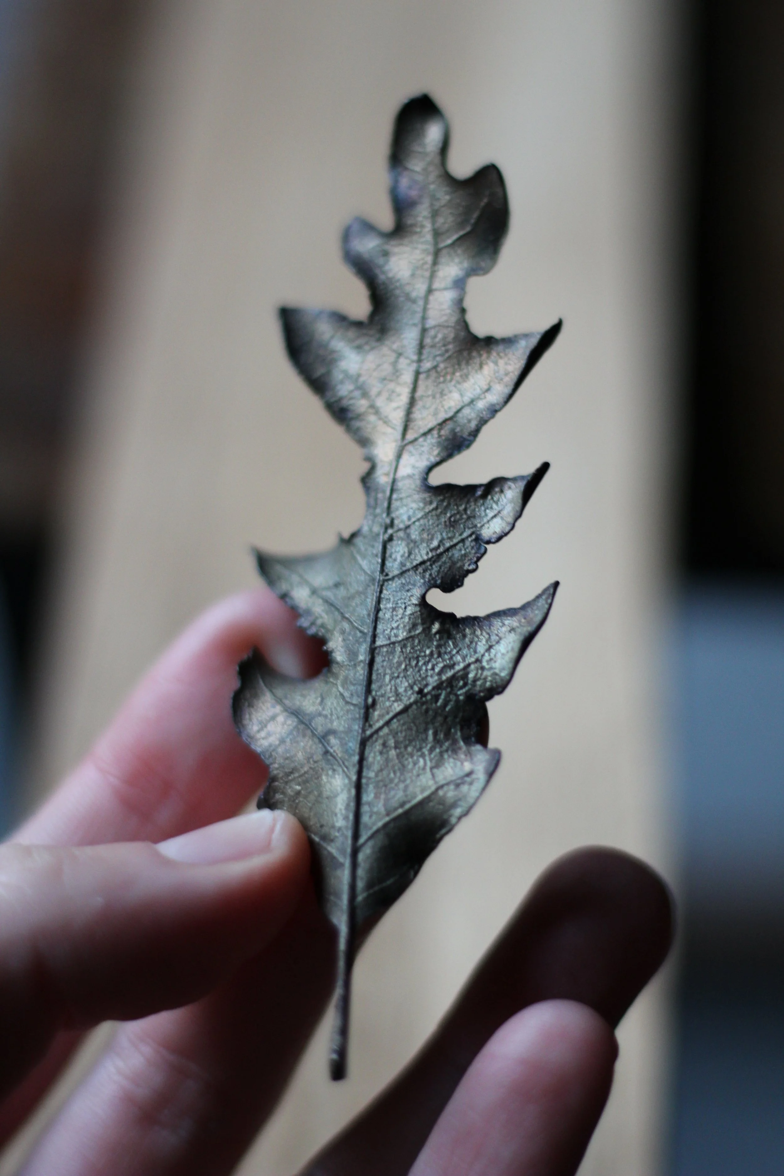 oak-bronze-leaf_01_02.JPG