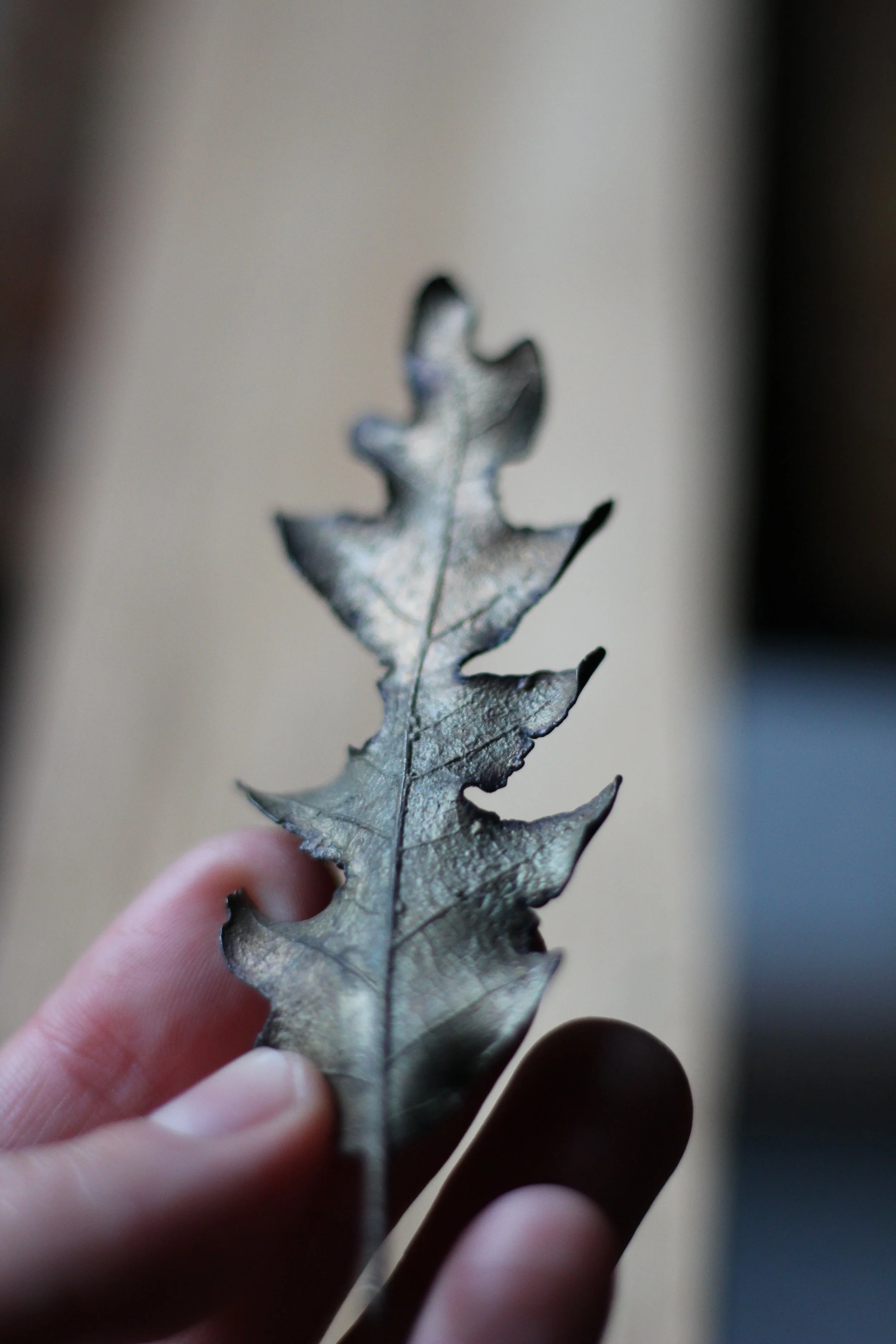 oak-bronze-leaf_01_03.JPG
