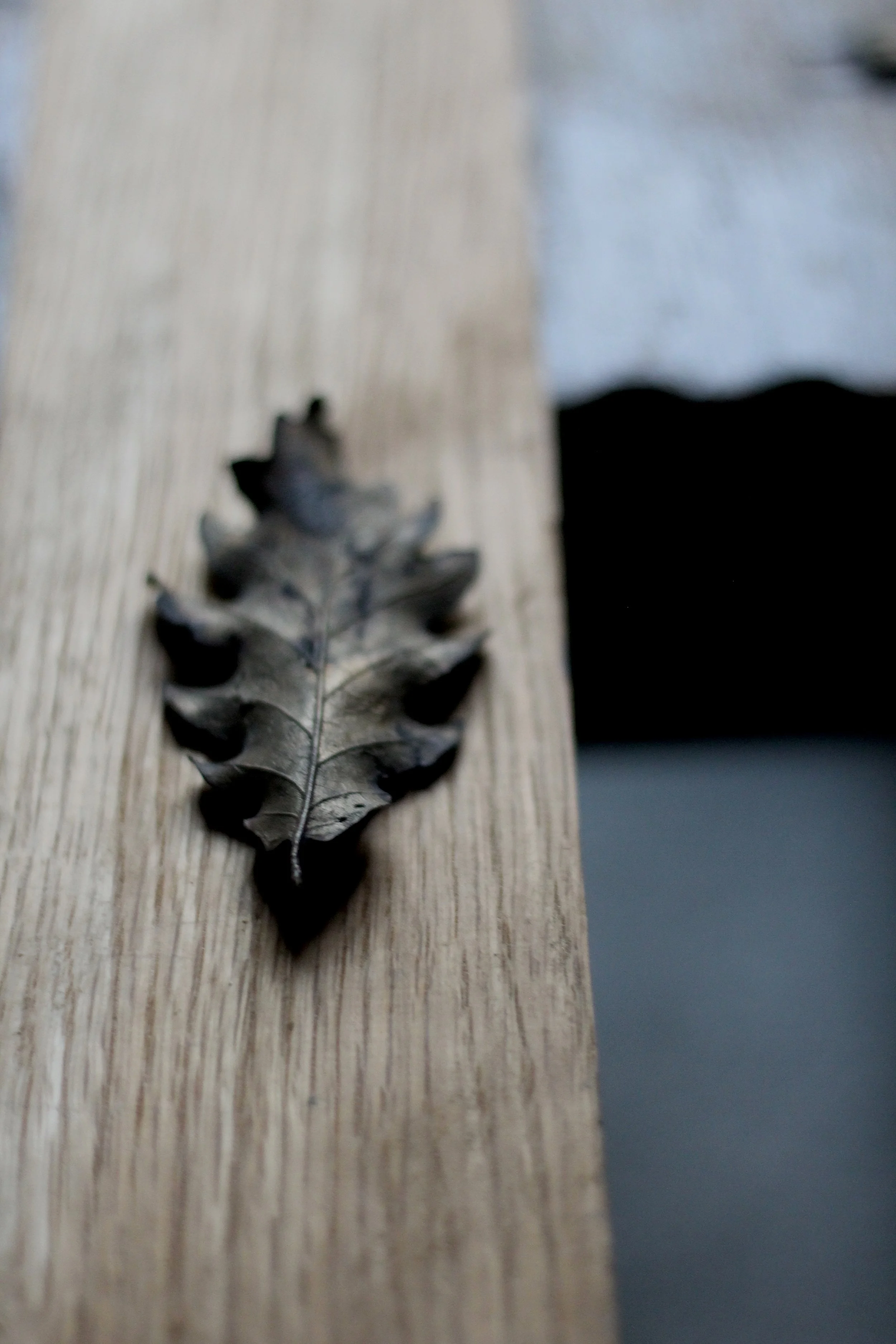 oak-bronze-leaf_02_05.JPG