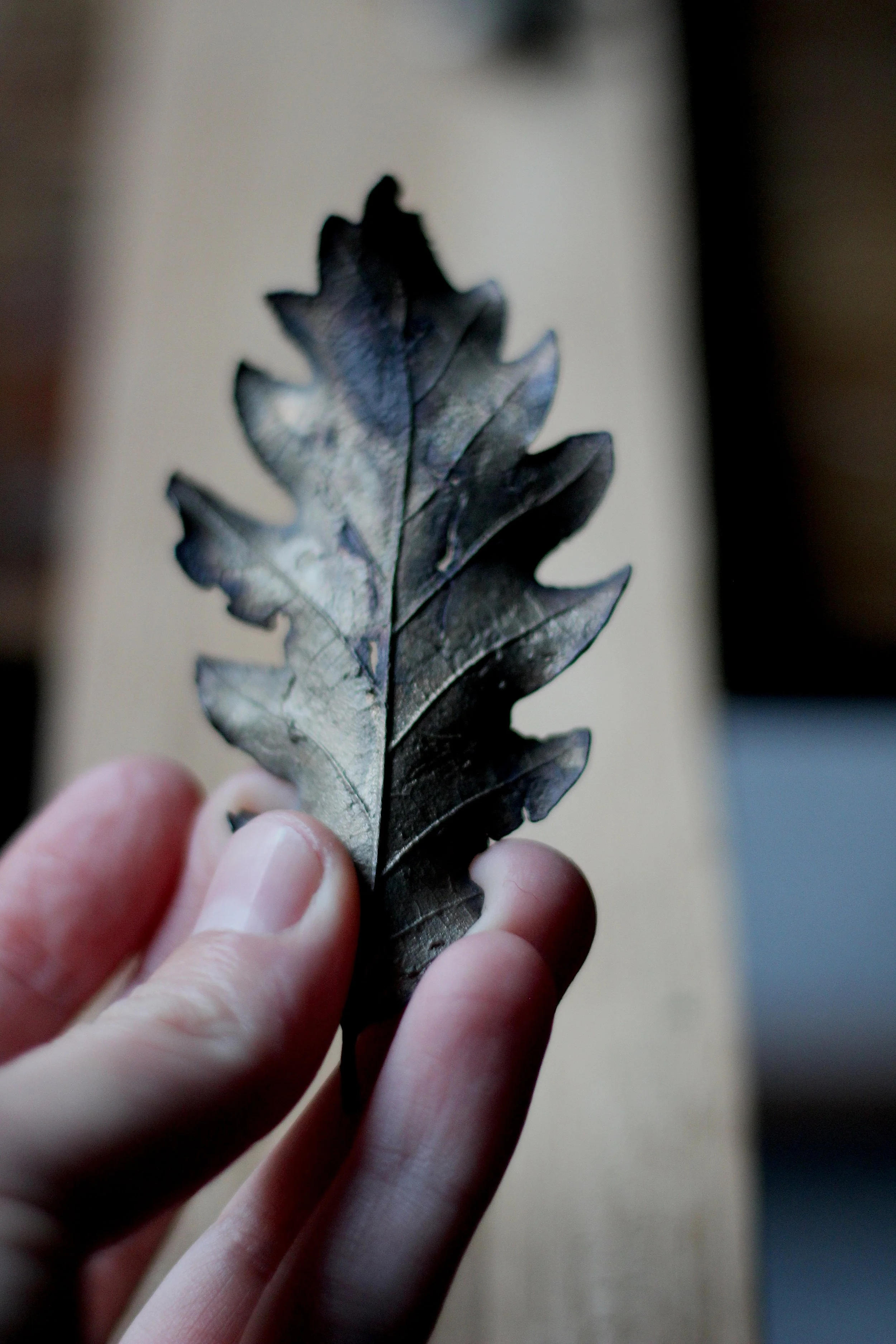 oak-bronze-leaf_02_03.JPG