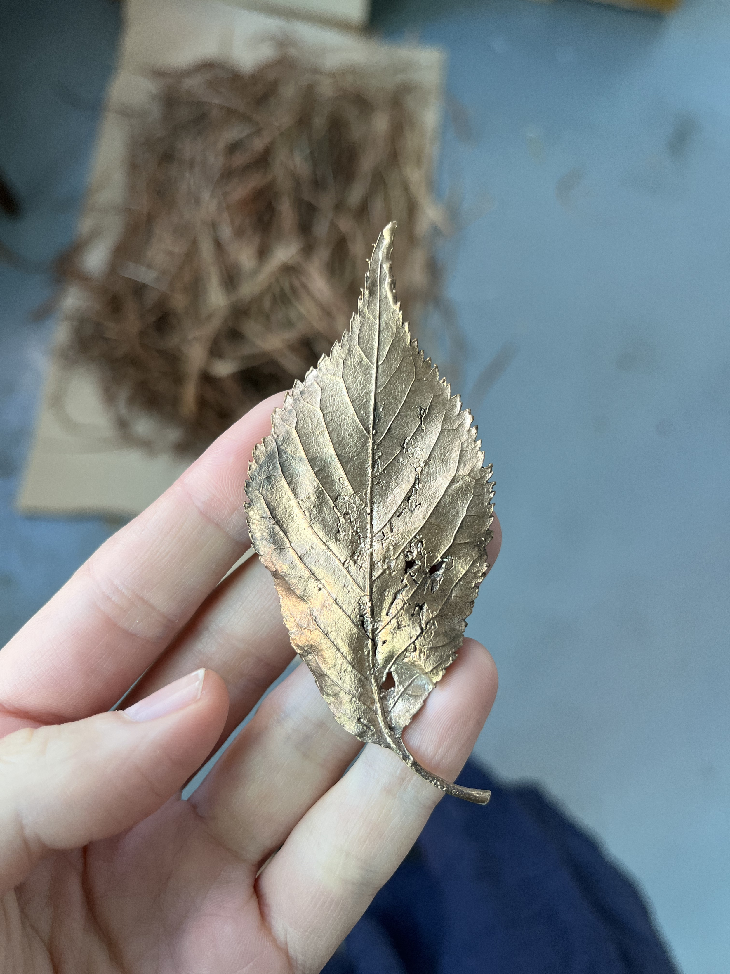 WLCCL01_cherry-leaf.png