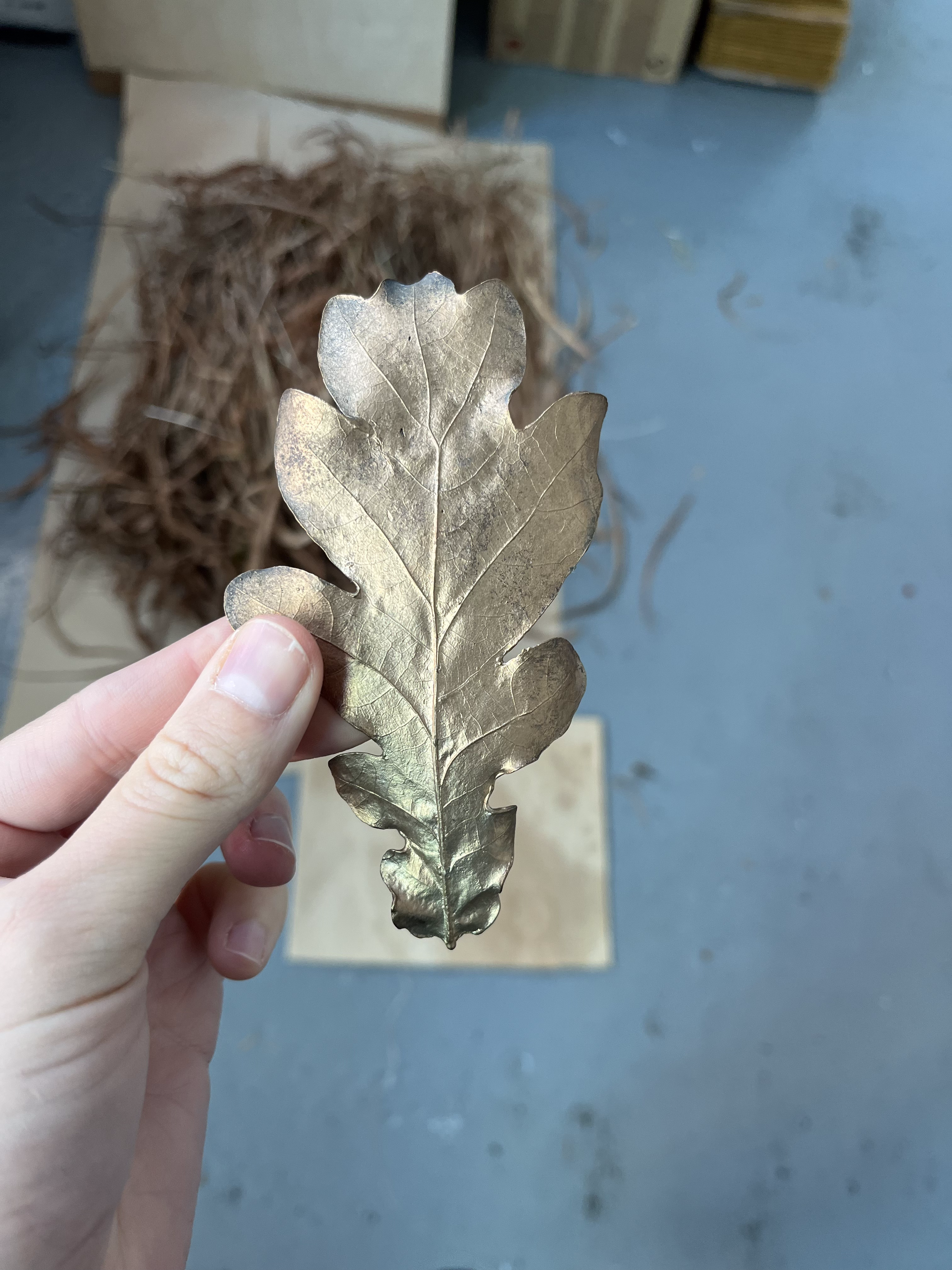 WLCCL14_oak-leaf.png