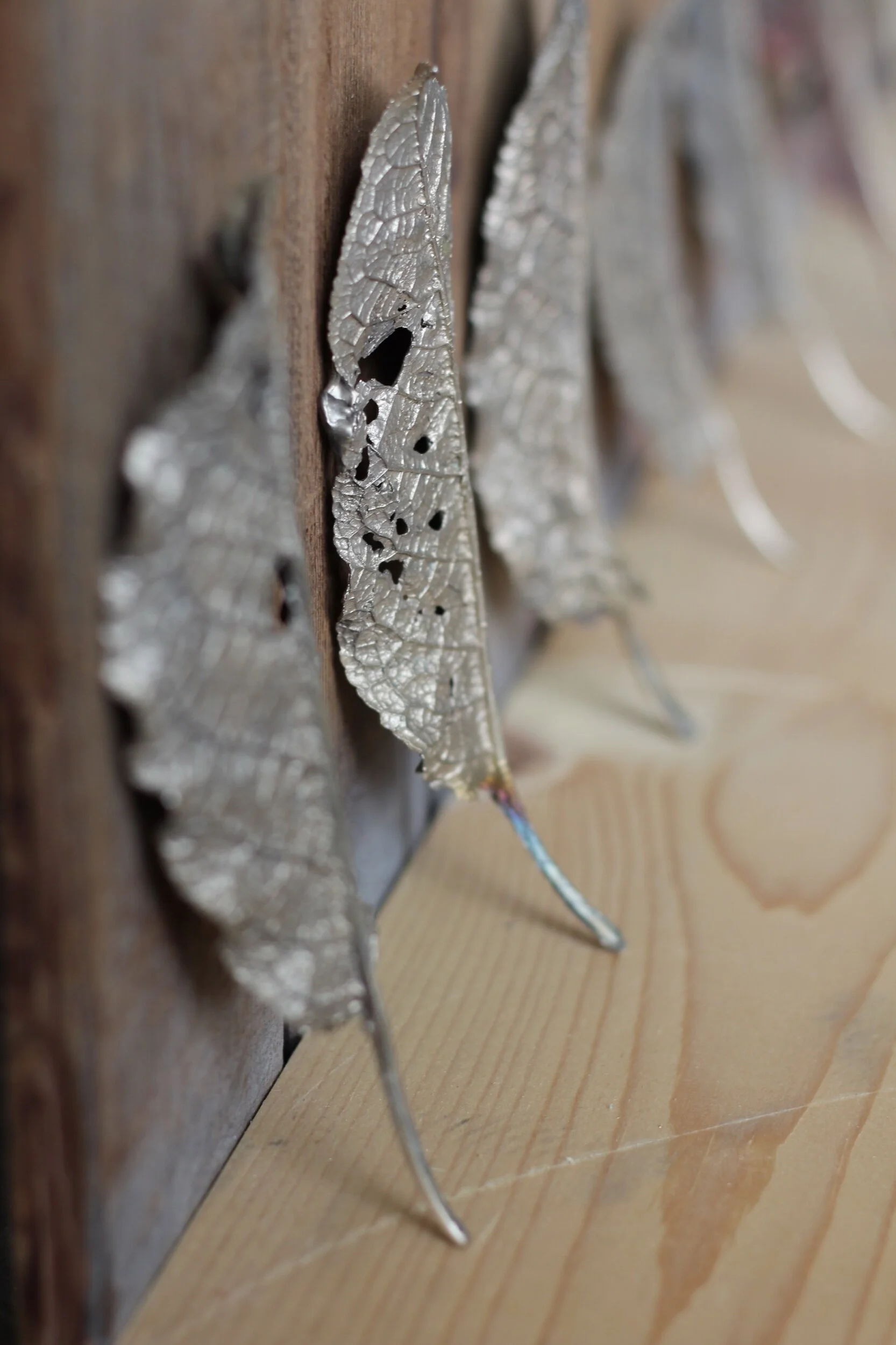 BE28719F-16D0-4078-ACC3-CCD058EE63CB