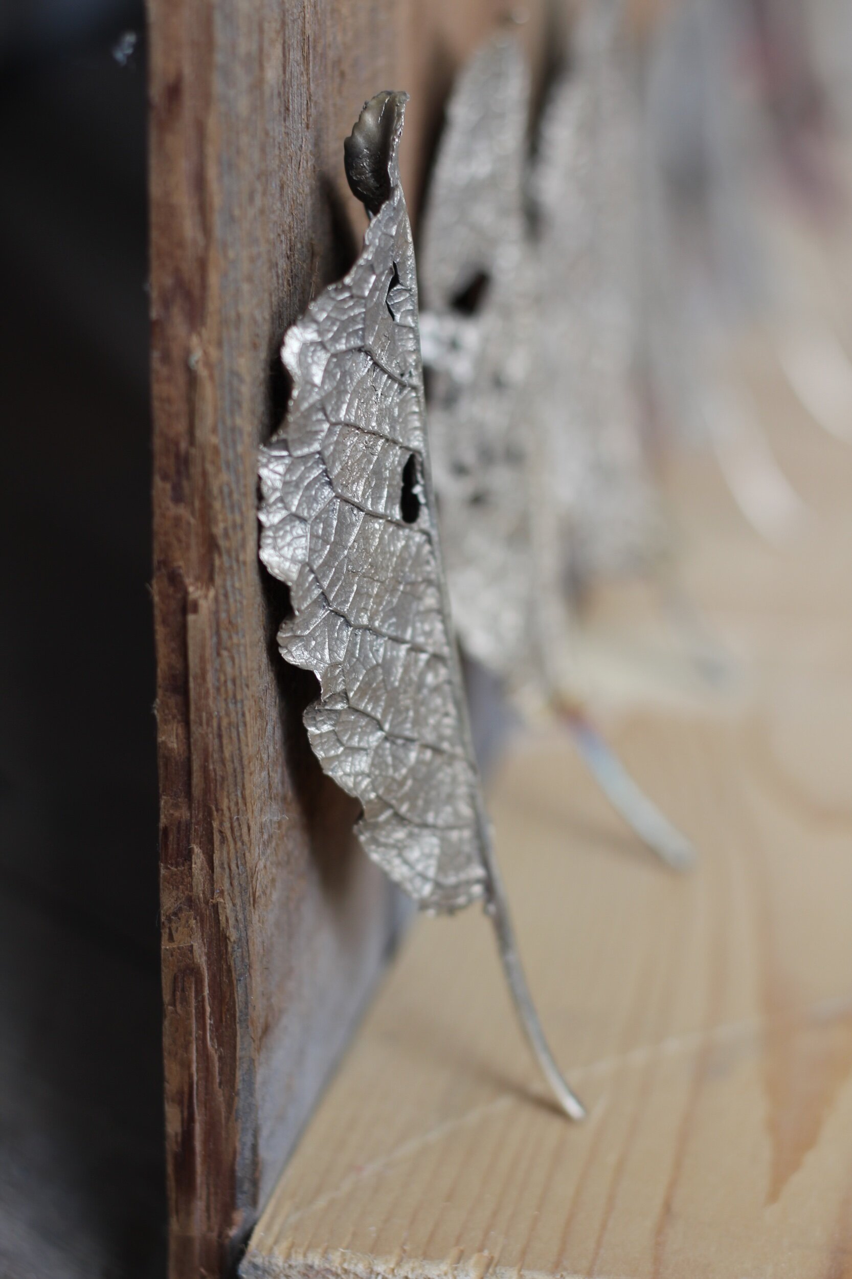 DB57D42A-858F-4F92-B903-D8BBAEB29DBA