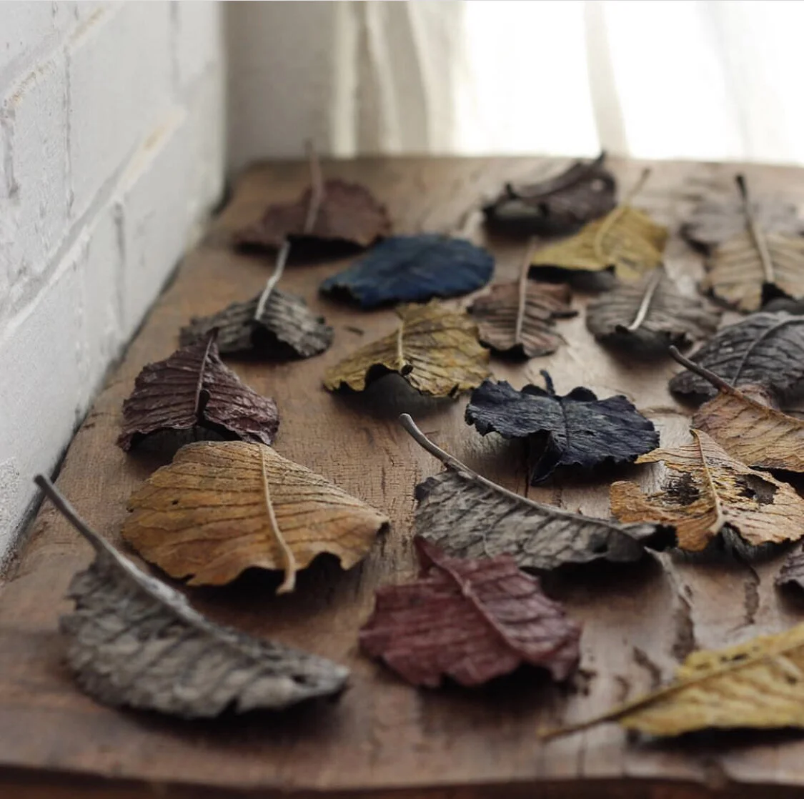 2EA2B908-0CE8-4208-9B0D-9CA80F3CEC9B