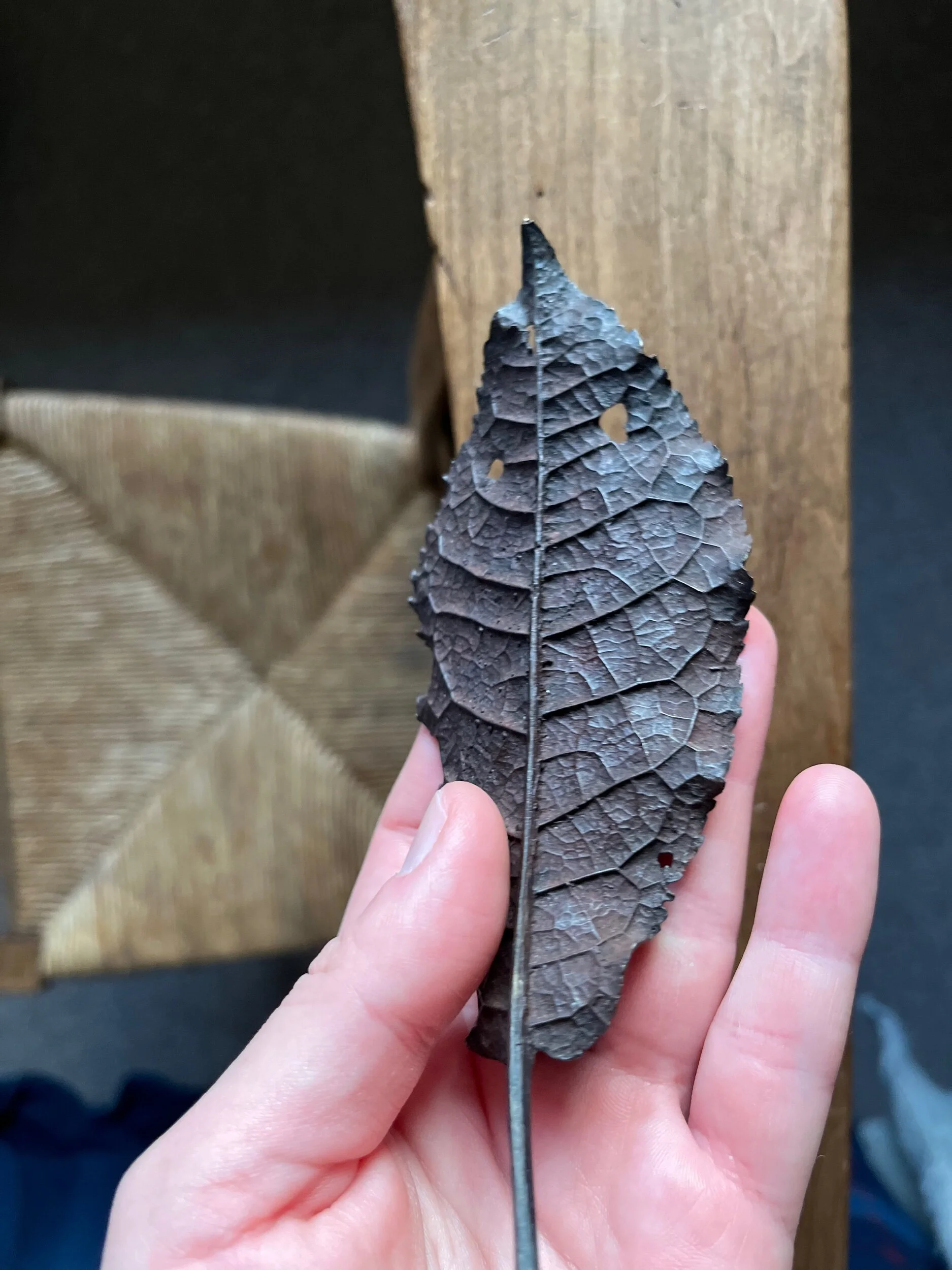 38DABD07-AF33-4E29-9192-C40CB4217130