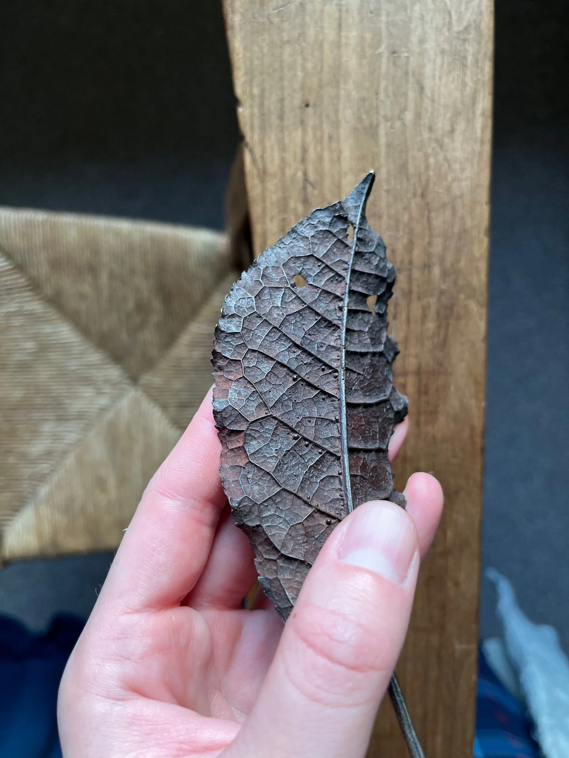 05113A37-41C1-4838-B544-2540DBE2235F