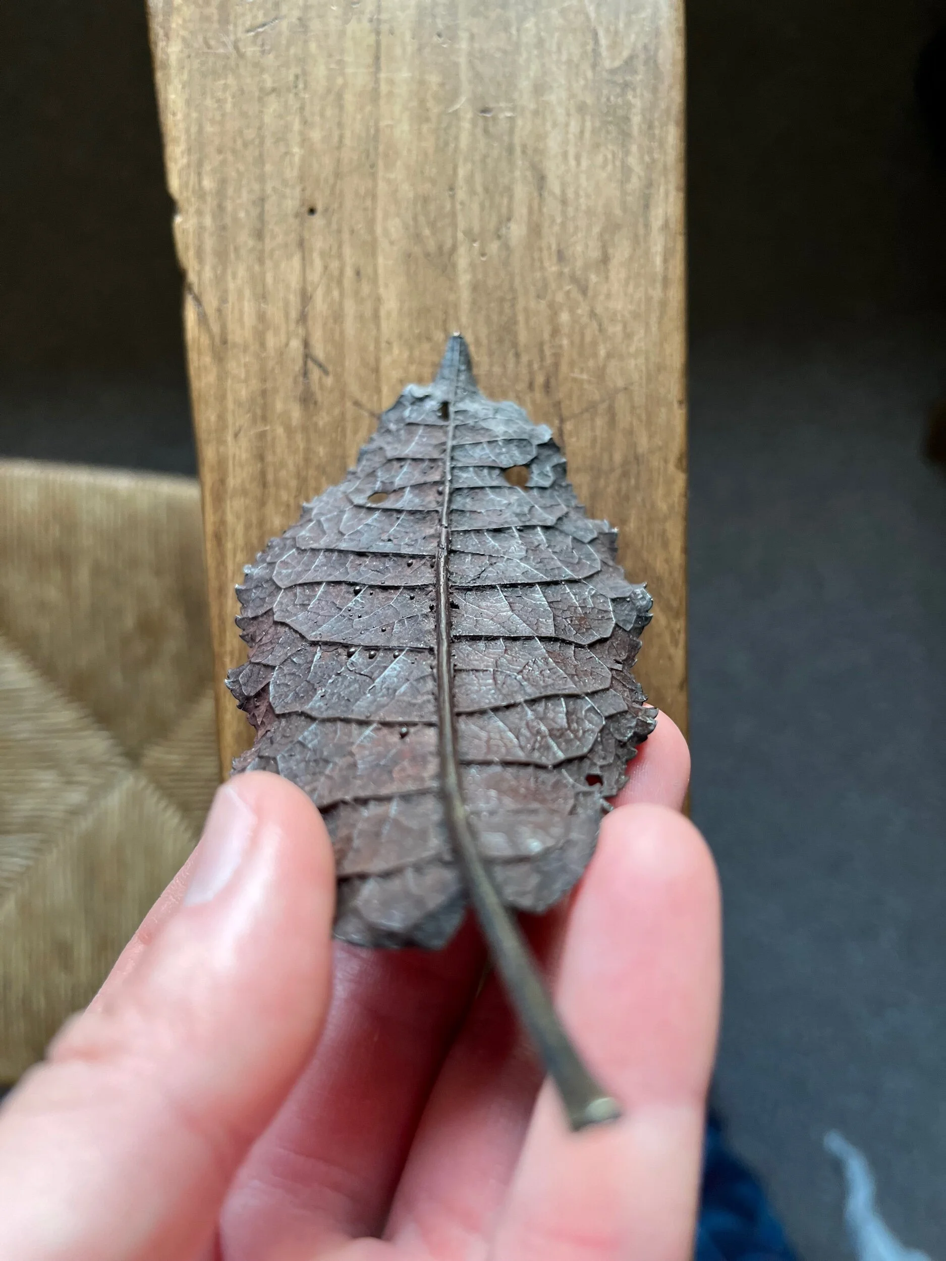 7F9C29D1-4D4B-4C7B-8C60-E048113909B9