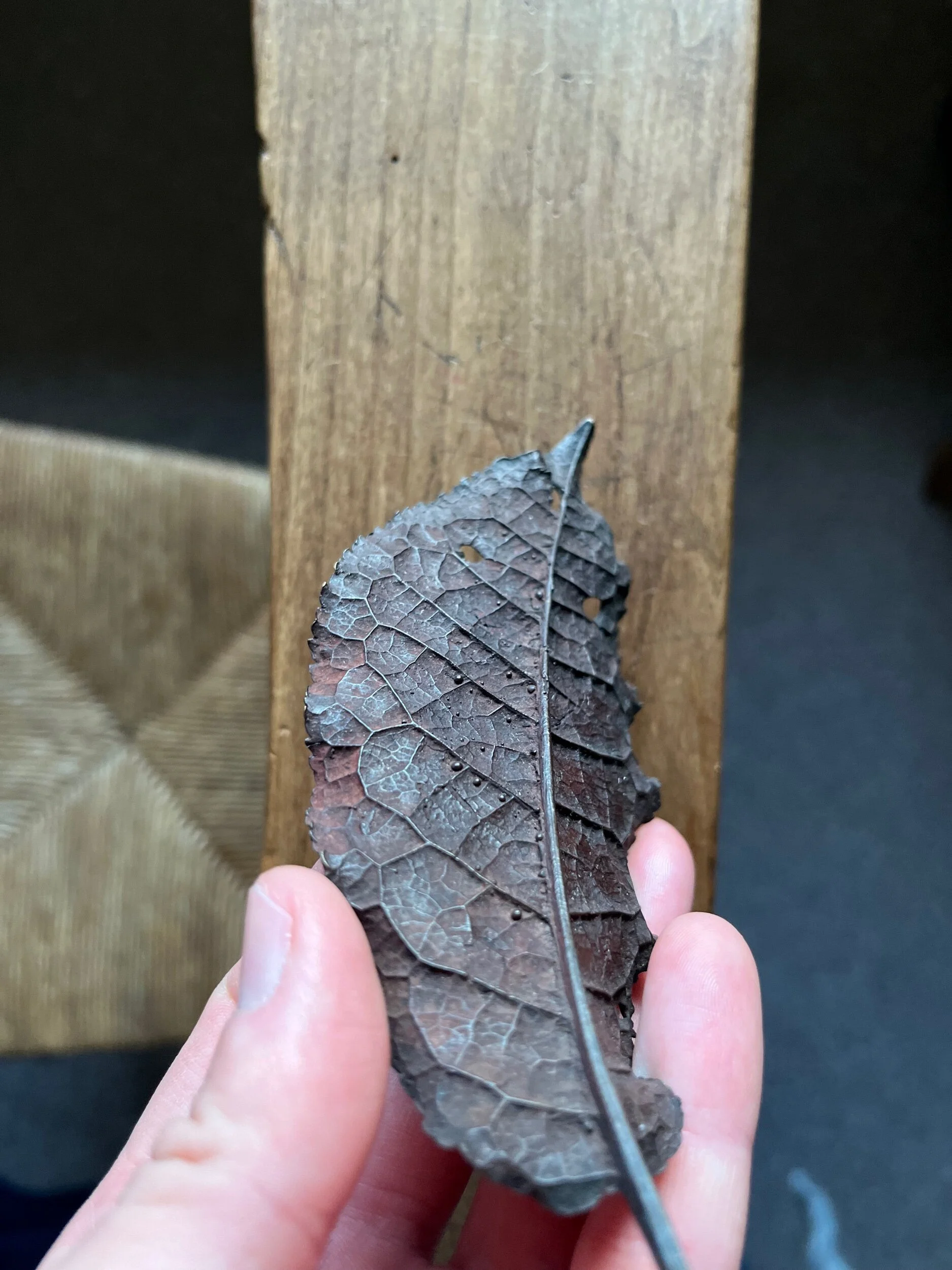 20C17221-A509-4793-86E8-3C9BA4F3814F