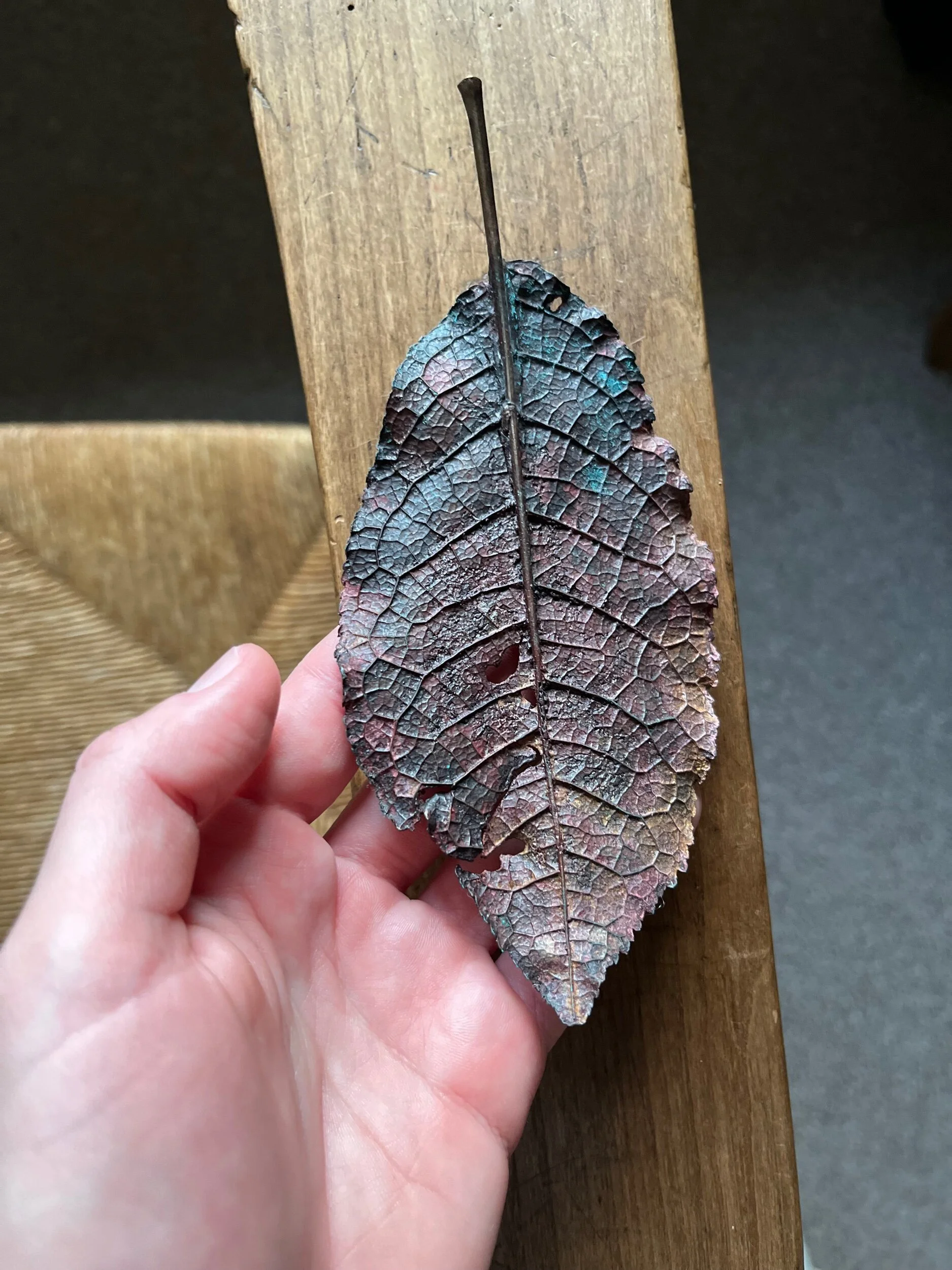 4E3B6694-5039-4382-9EBB-02CF47E1472C