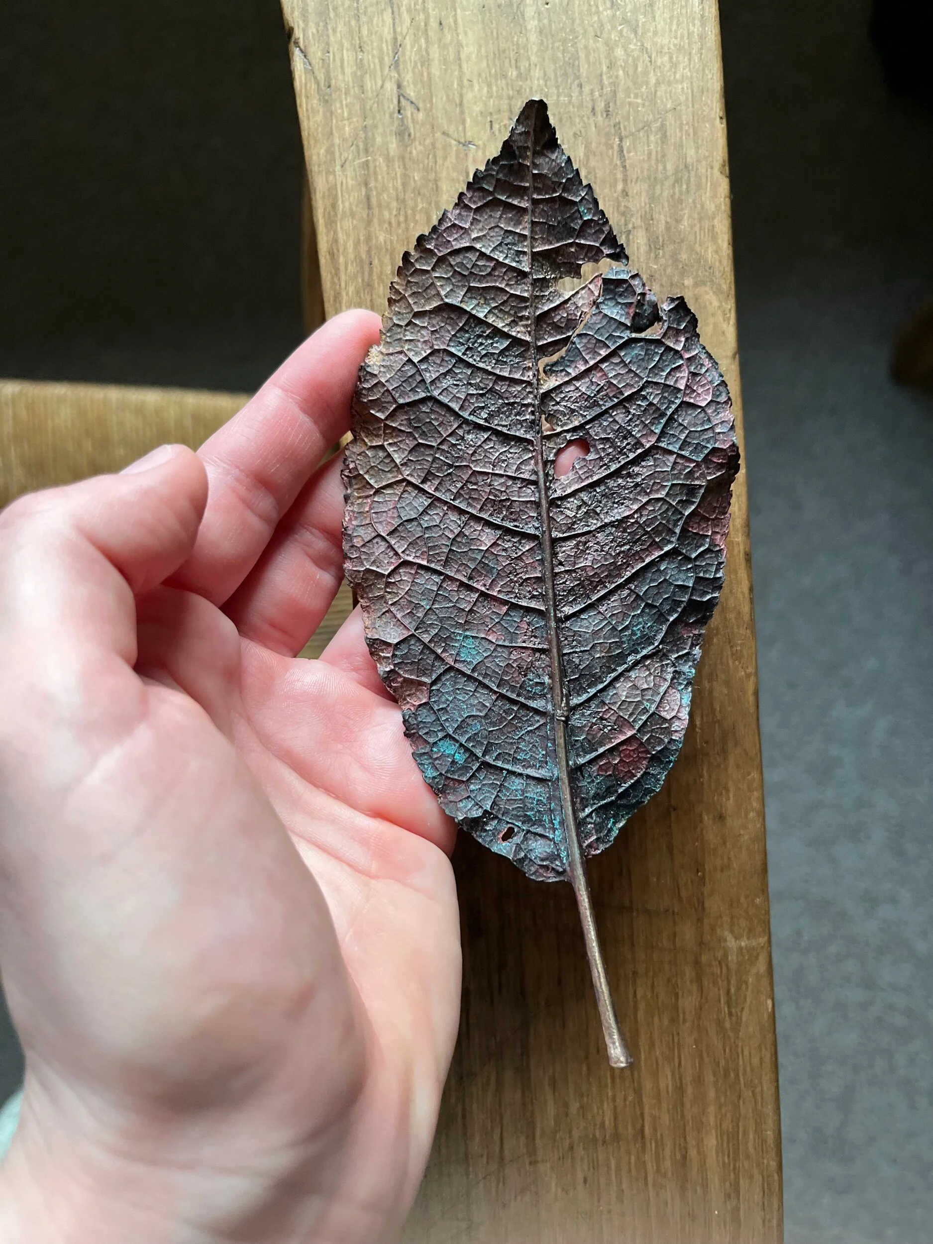 F96FF787-D89A-41D2-A0D3-FD88903D185E