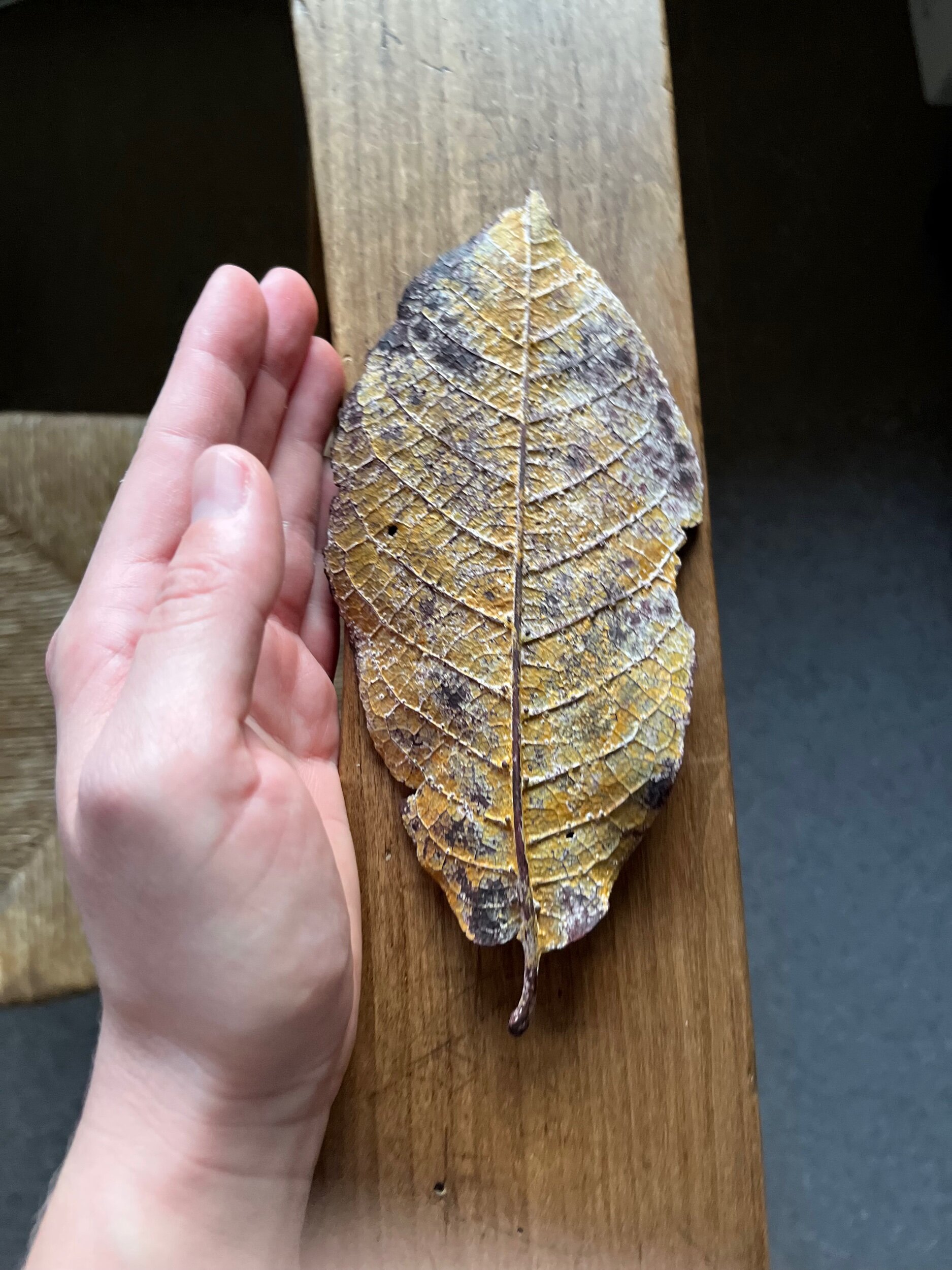 E18A9296-9A87-434E-915F-C9470068C9FC