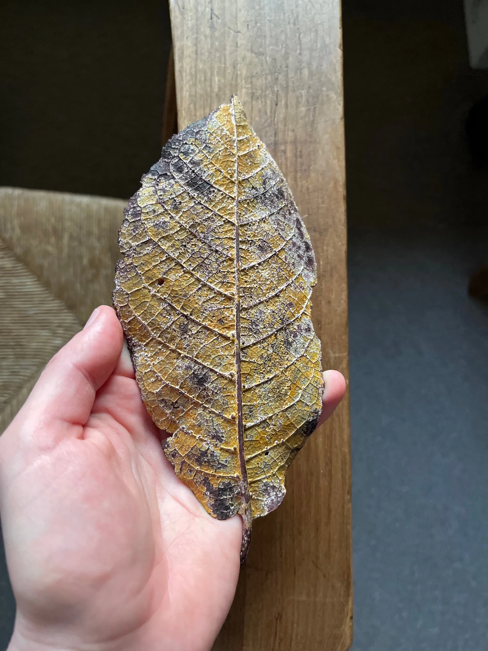 9E808483-9DA0-4B3F-811C-A38B84B8A5FB