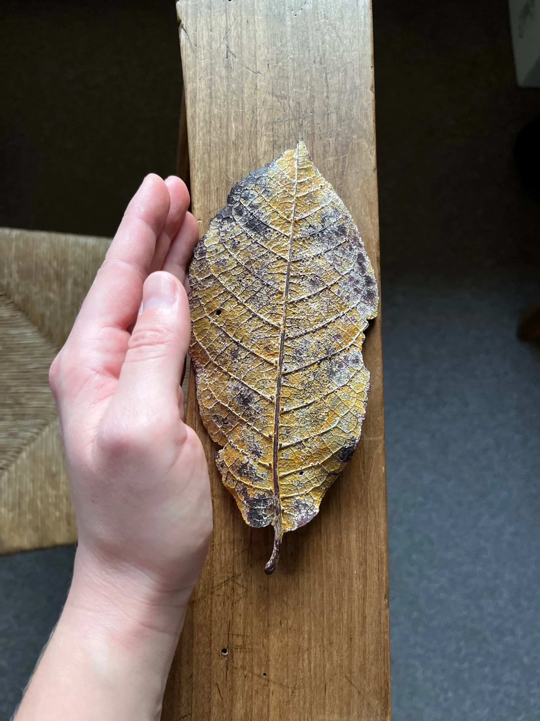 883E617F-D907-4C17-A191-910A33B1AC4D