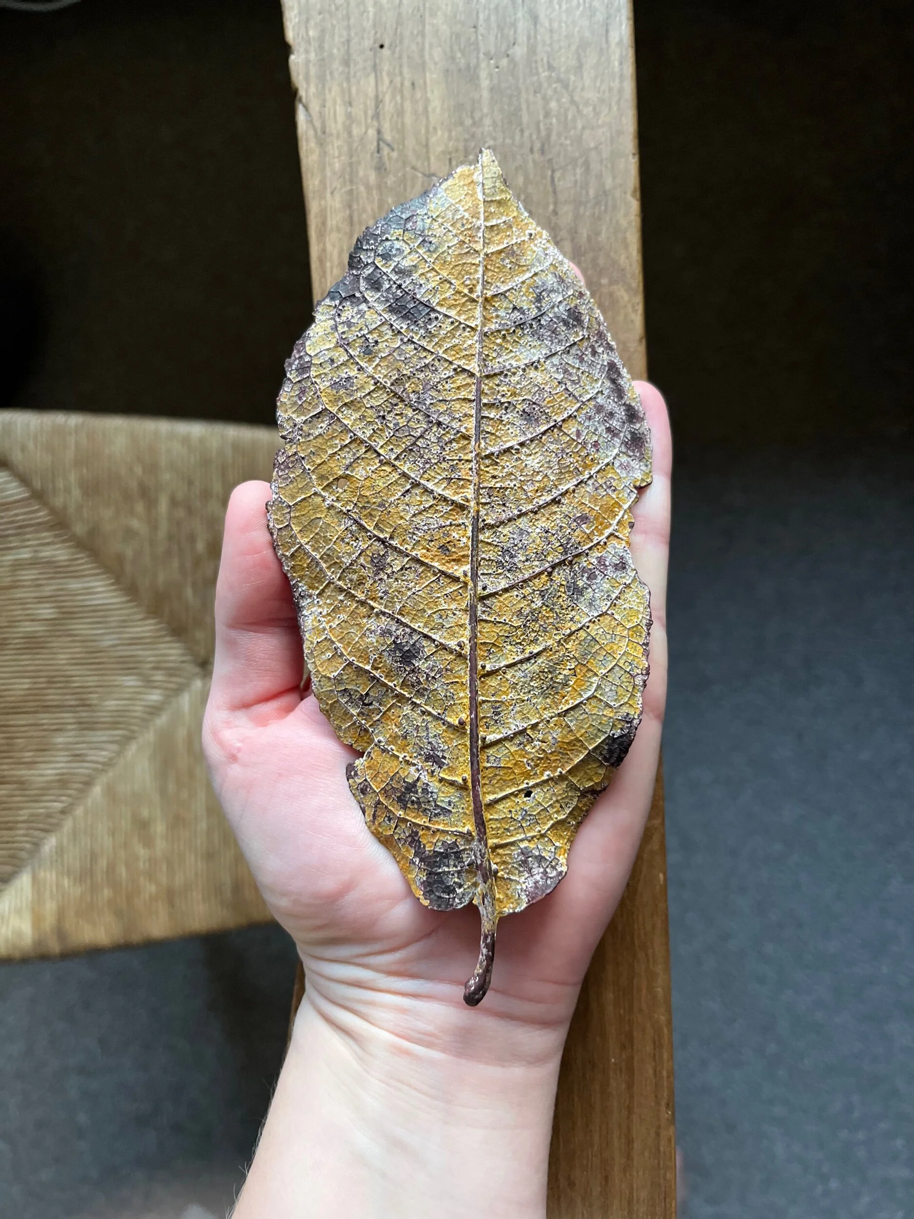 6BB4D75E-D9CA-43F5-B3FE-A4F5C13D503A