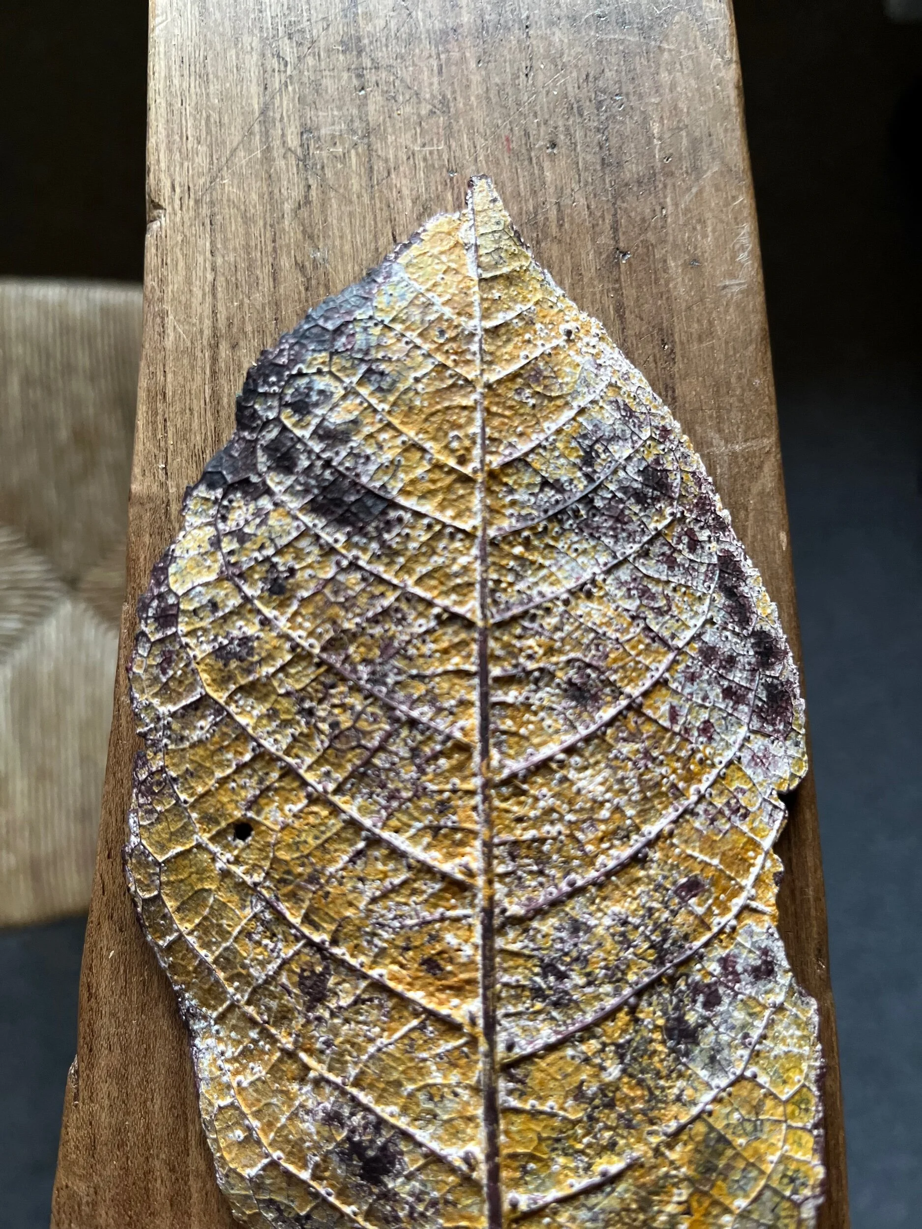 F3E9B2F3-F83A-4FD4-9FD6-6234207D5991