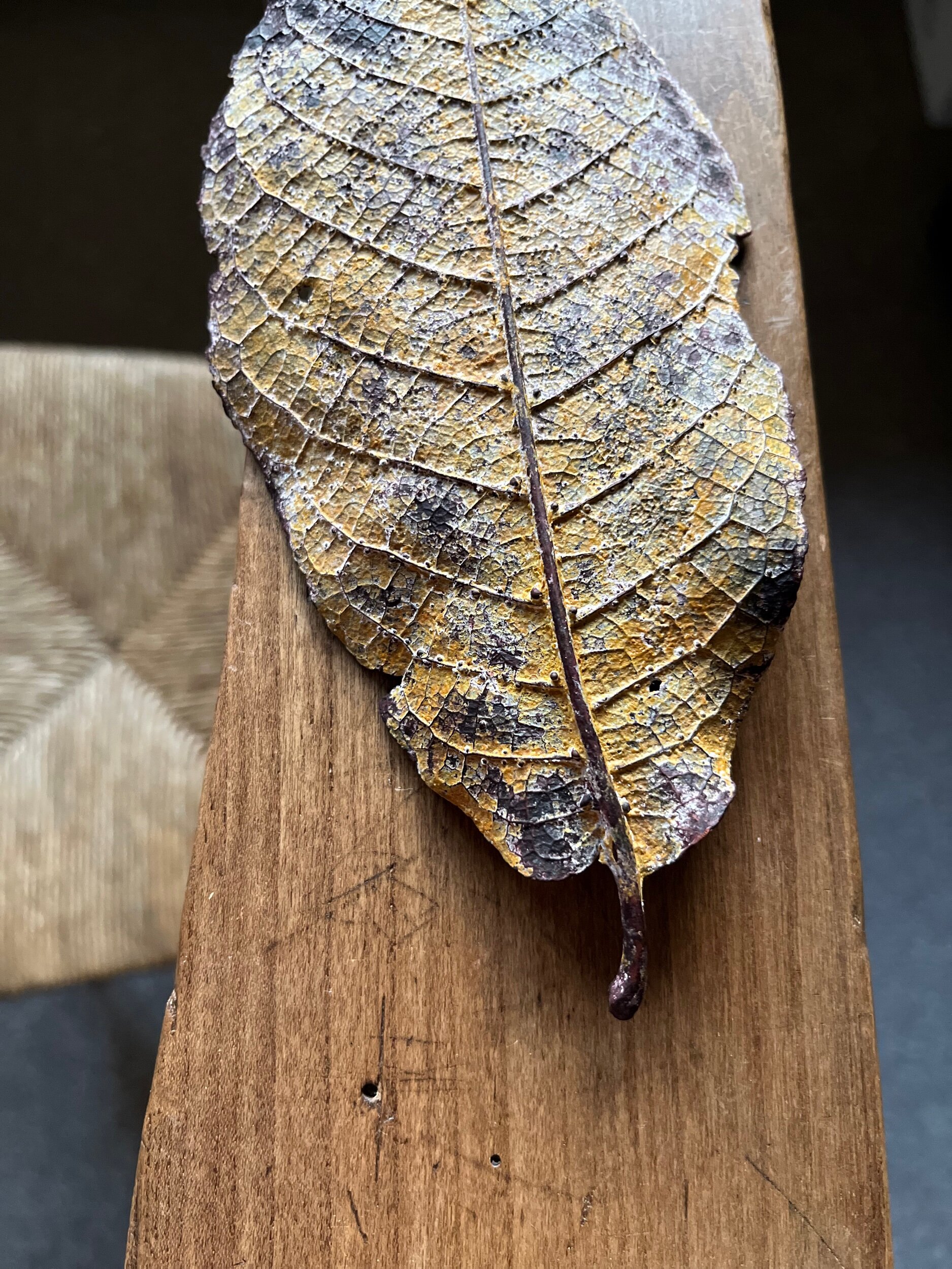 AC33AF91-C5D9-4A42-89C7-1875CCAC0C35