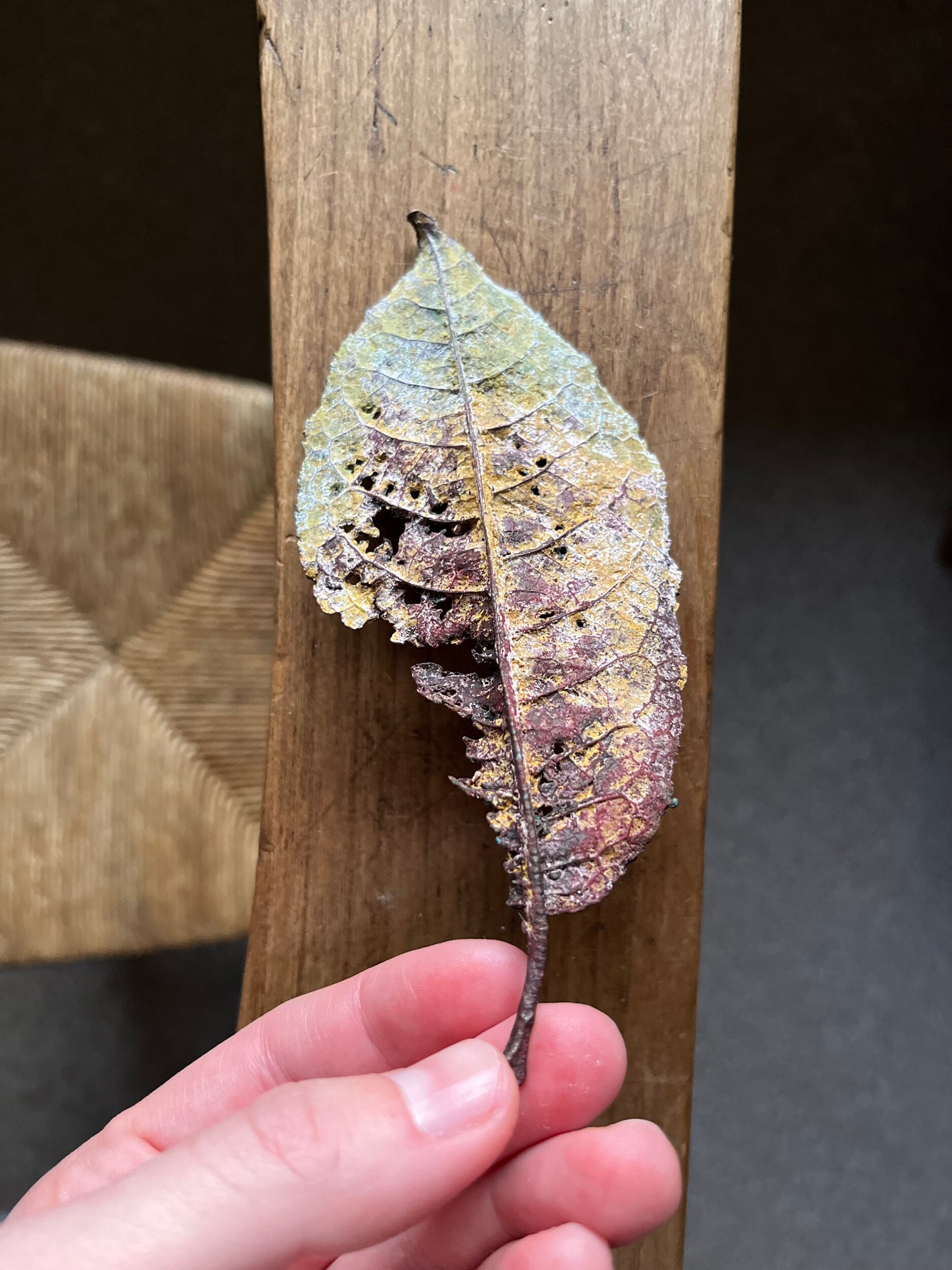 DFCA1EC0-A1CA-4277-B7A2-E553DE70F308