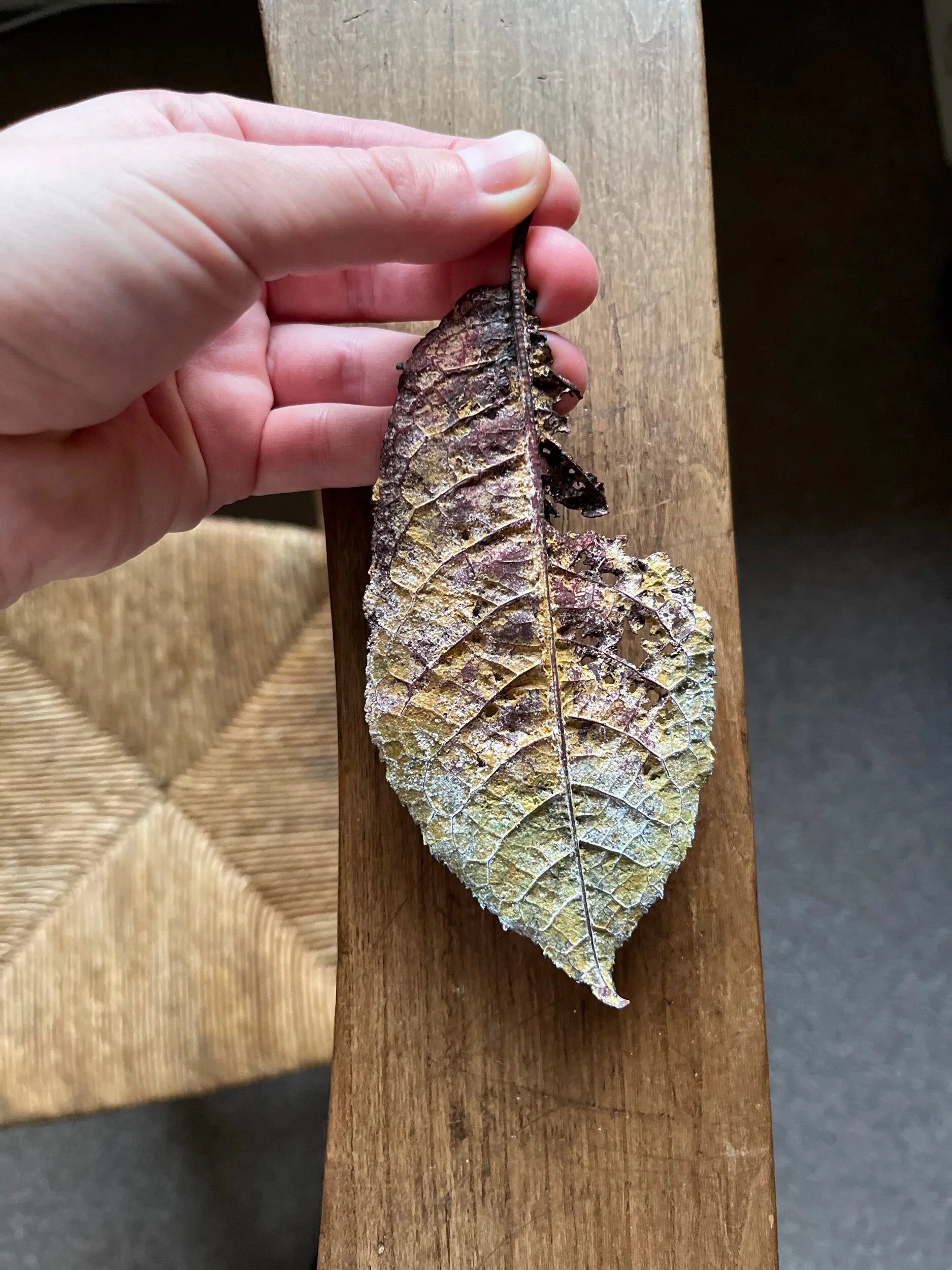 650579E5-4064-4E50-95B8-C8E4D23ACA5E