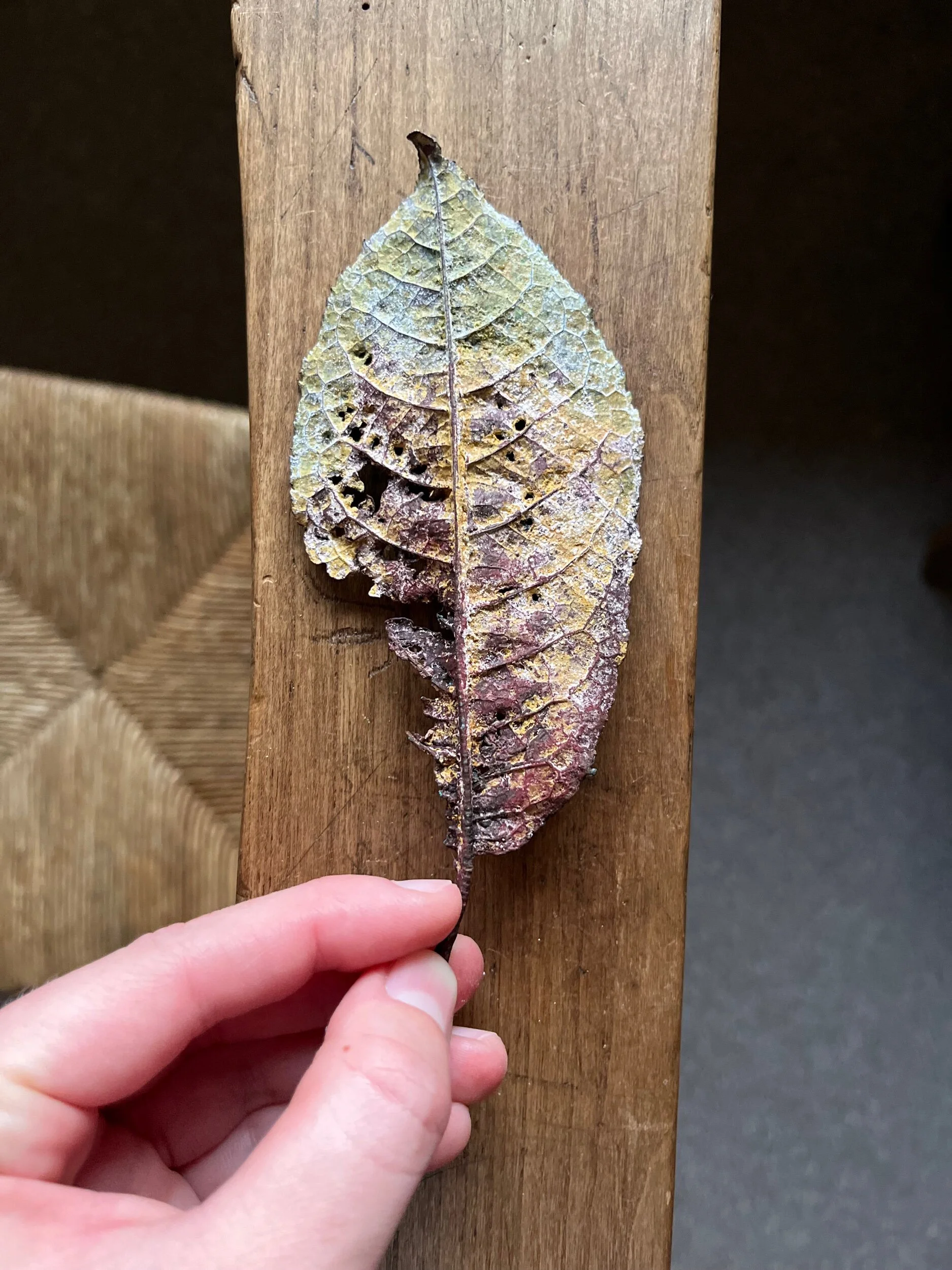 960DC91A-3916-4CE3-9C0A-4C7D451F3478