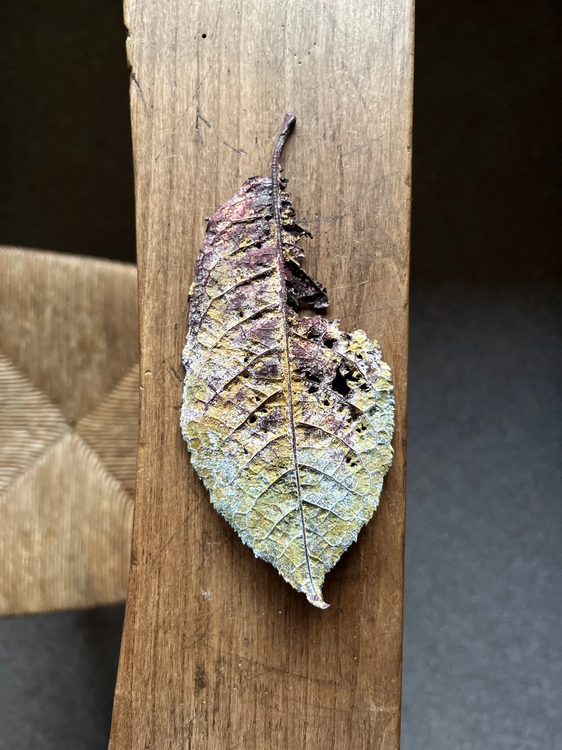 802D7DA1-ACBE-47C9-813F-ACC255929344