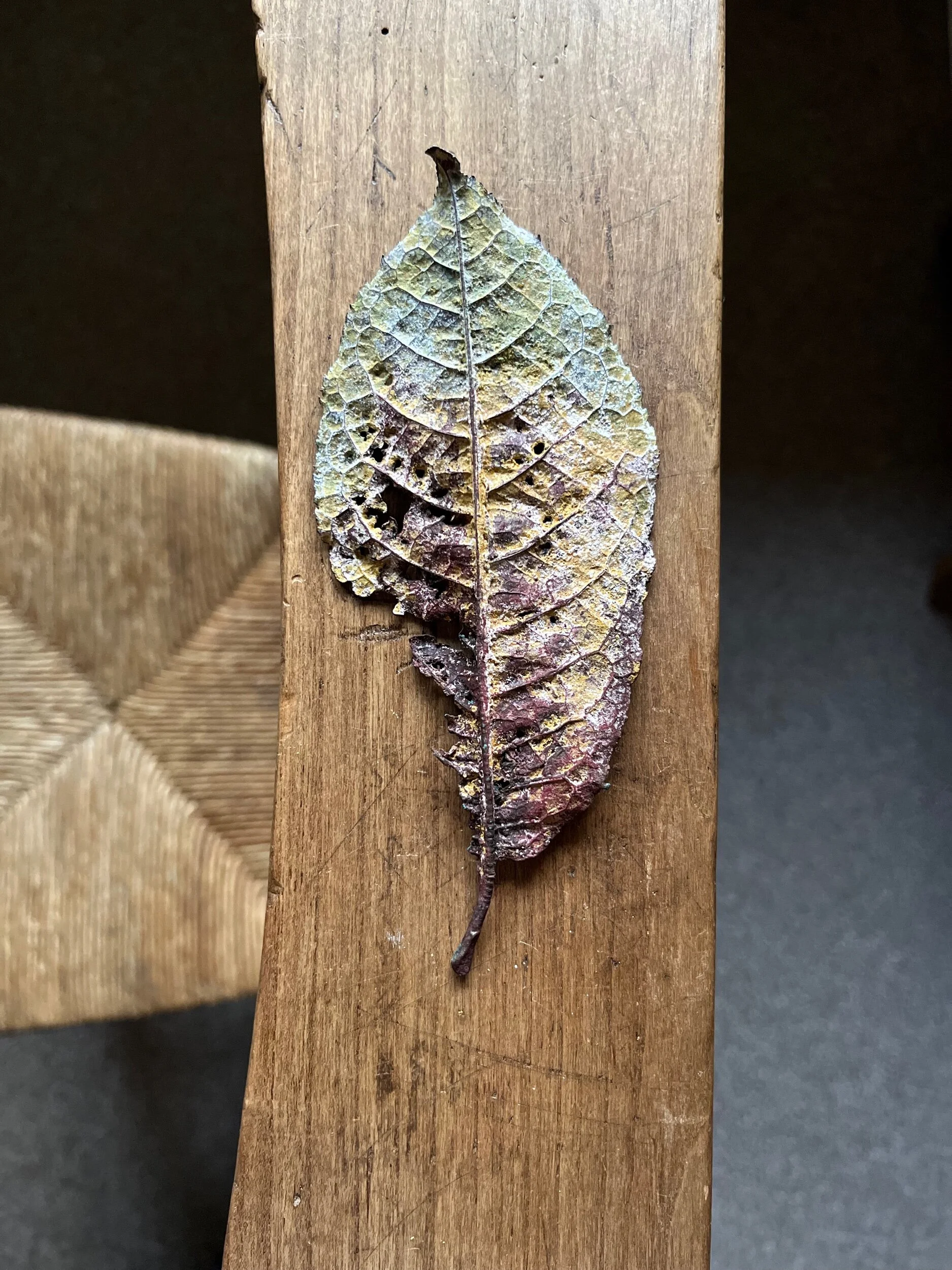 49A2E70B-81BD-4B51-8C09-02D5014DB3CF