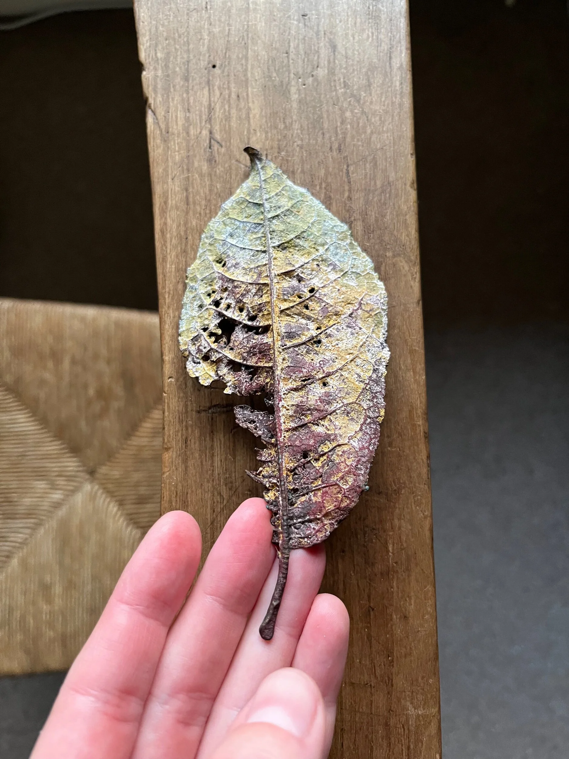 C67B16A7-8D56-44D5-8481-818DDDC46E4C