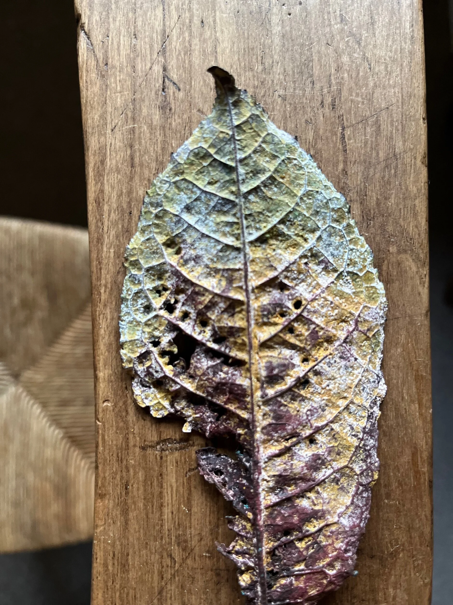 0C18B258-B280-4458-A94C-7B7375E0391E