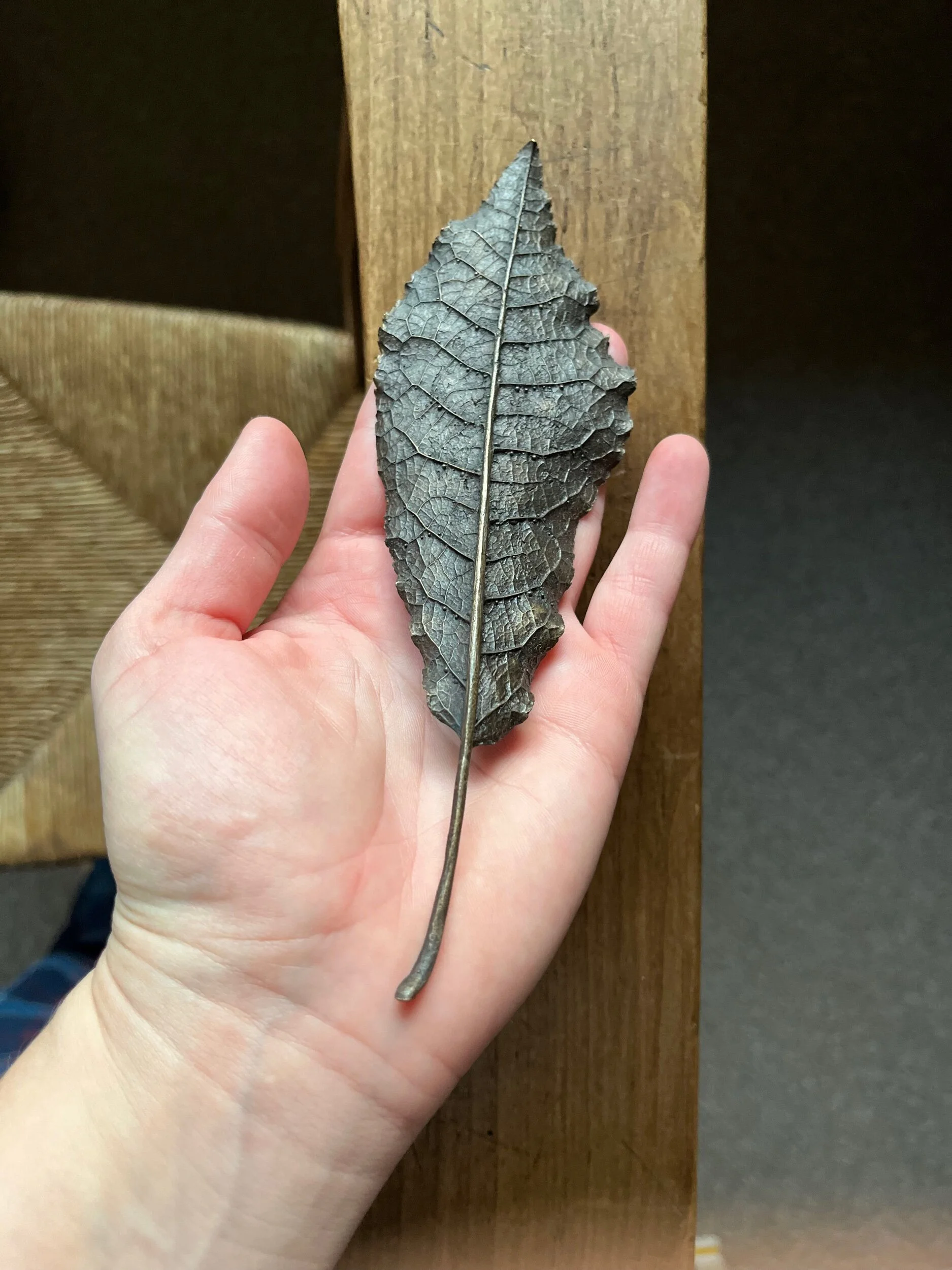 83AEA3D6-4780-4C0A-AED5-5F1DD711B8EF