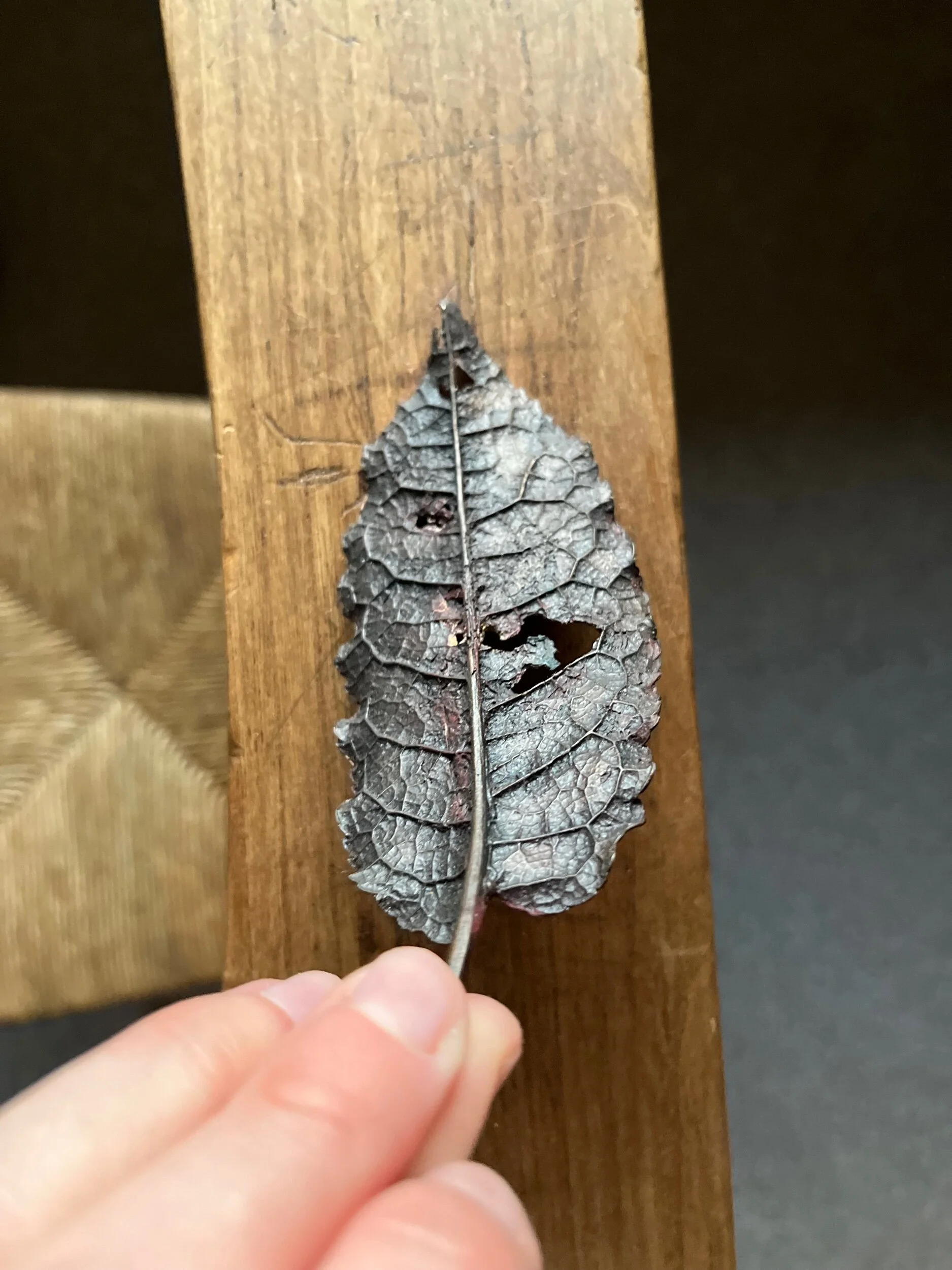 2FAEBB00-A841-4B15-9E0B-5446ADF41328