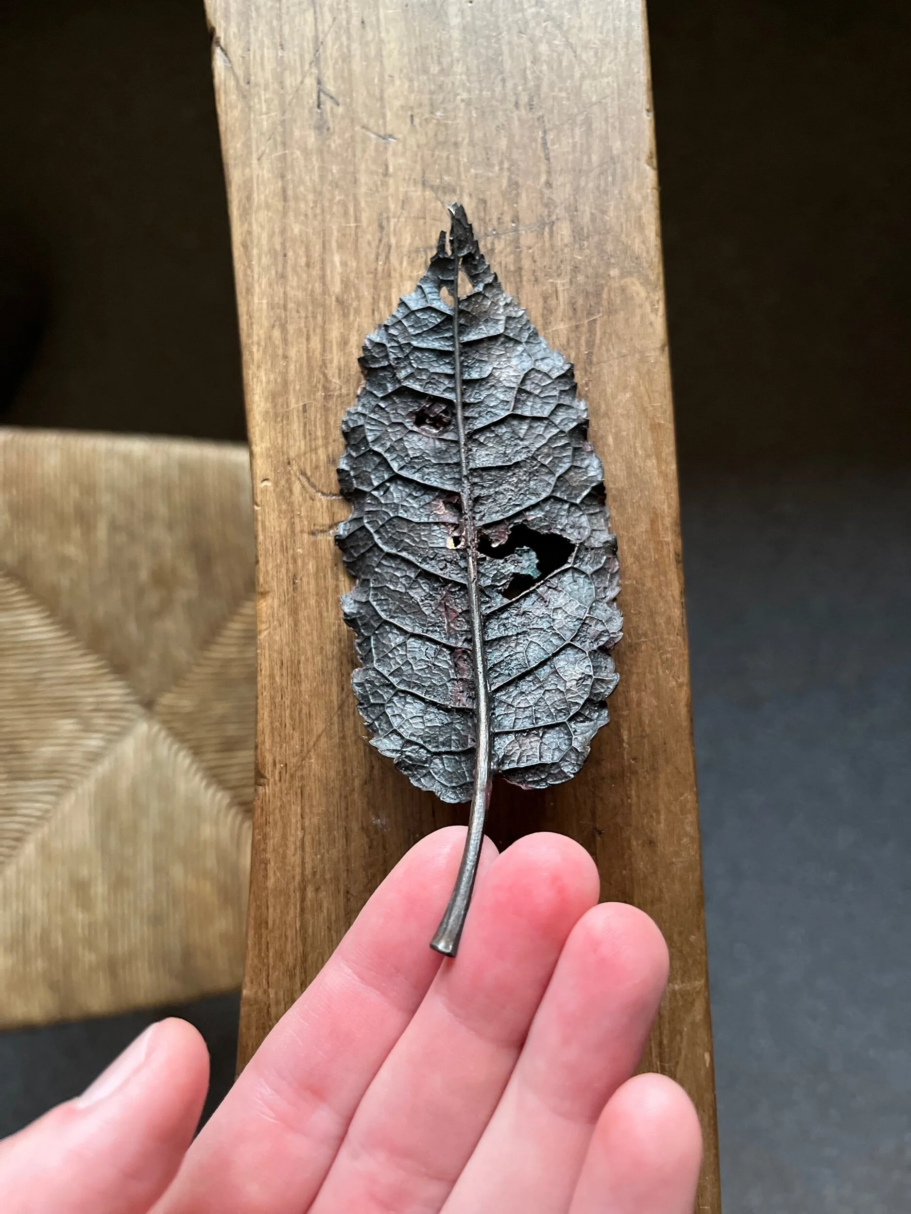 31B73396-BA85-4571-B1F5-034327F14619