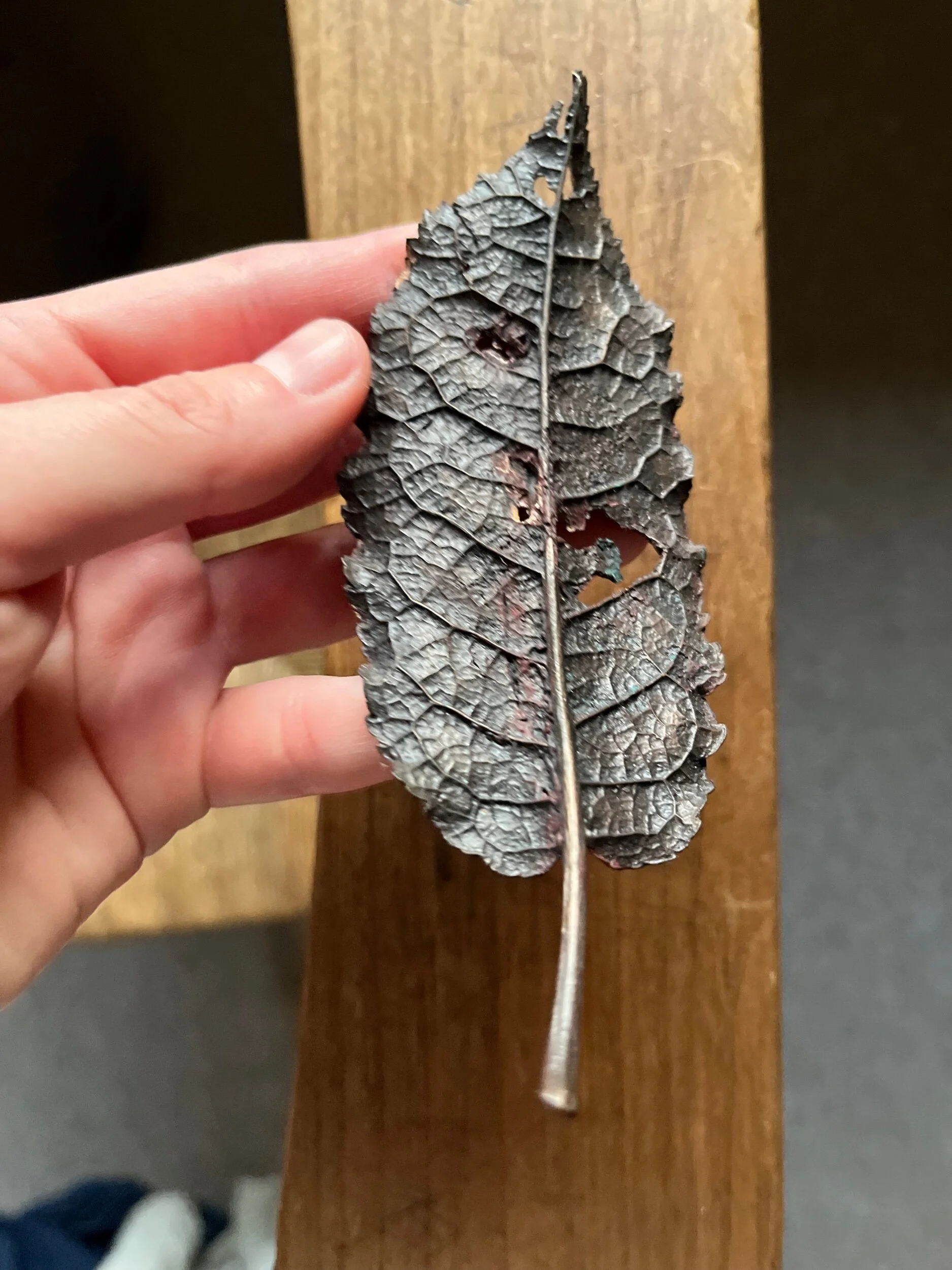 406CCC92-C7F1-46F3-84F4-F43D149B75EF