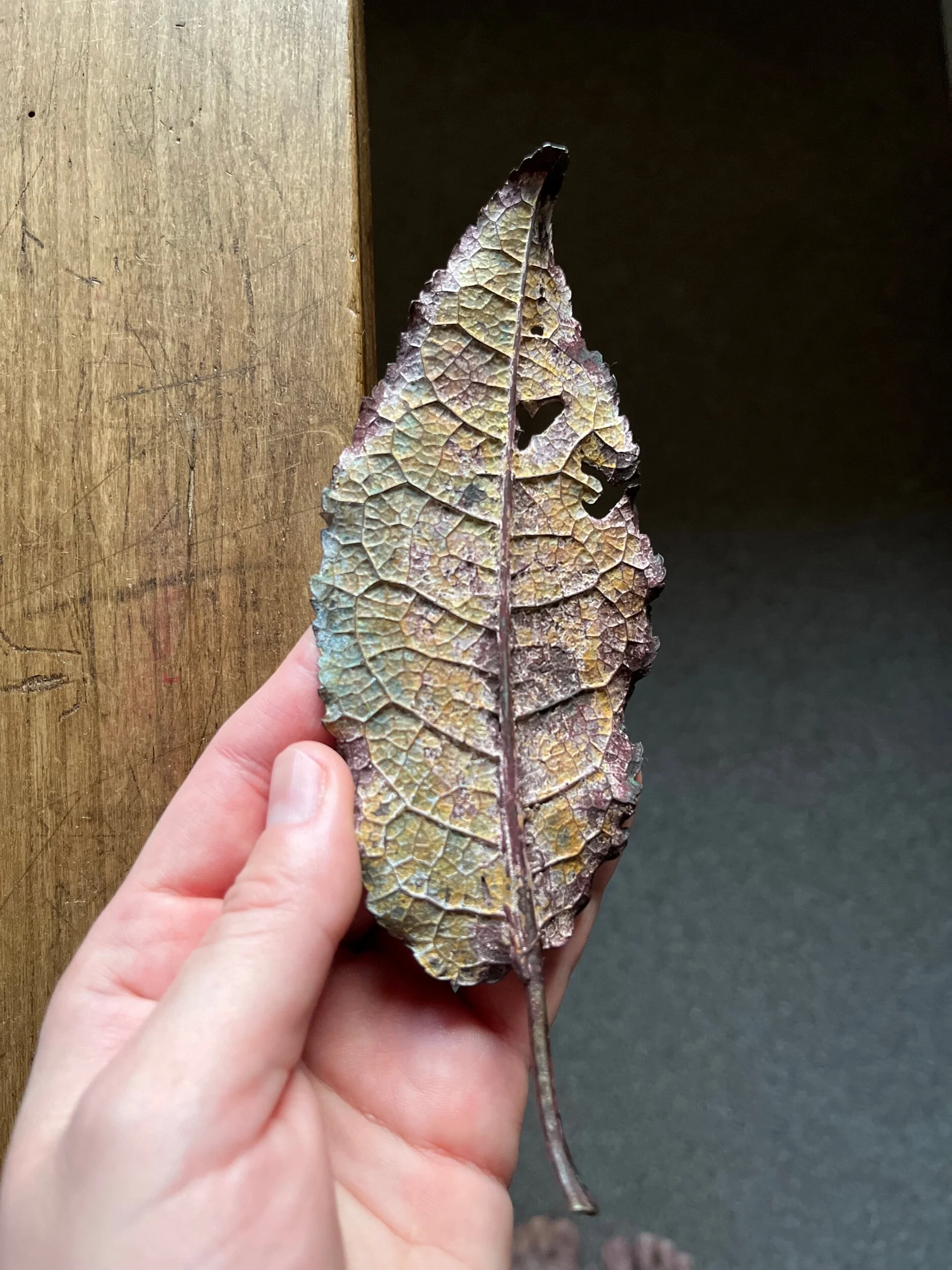 C62AE393-71C9-41BD-9E42-A25B021814D5