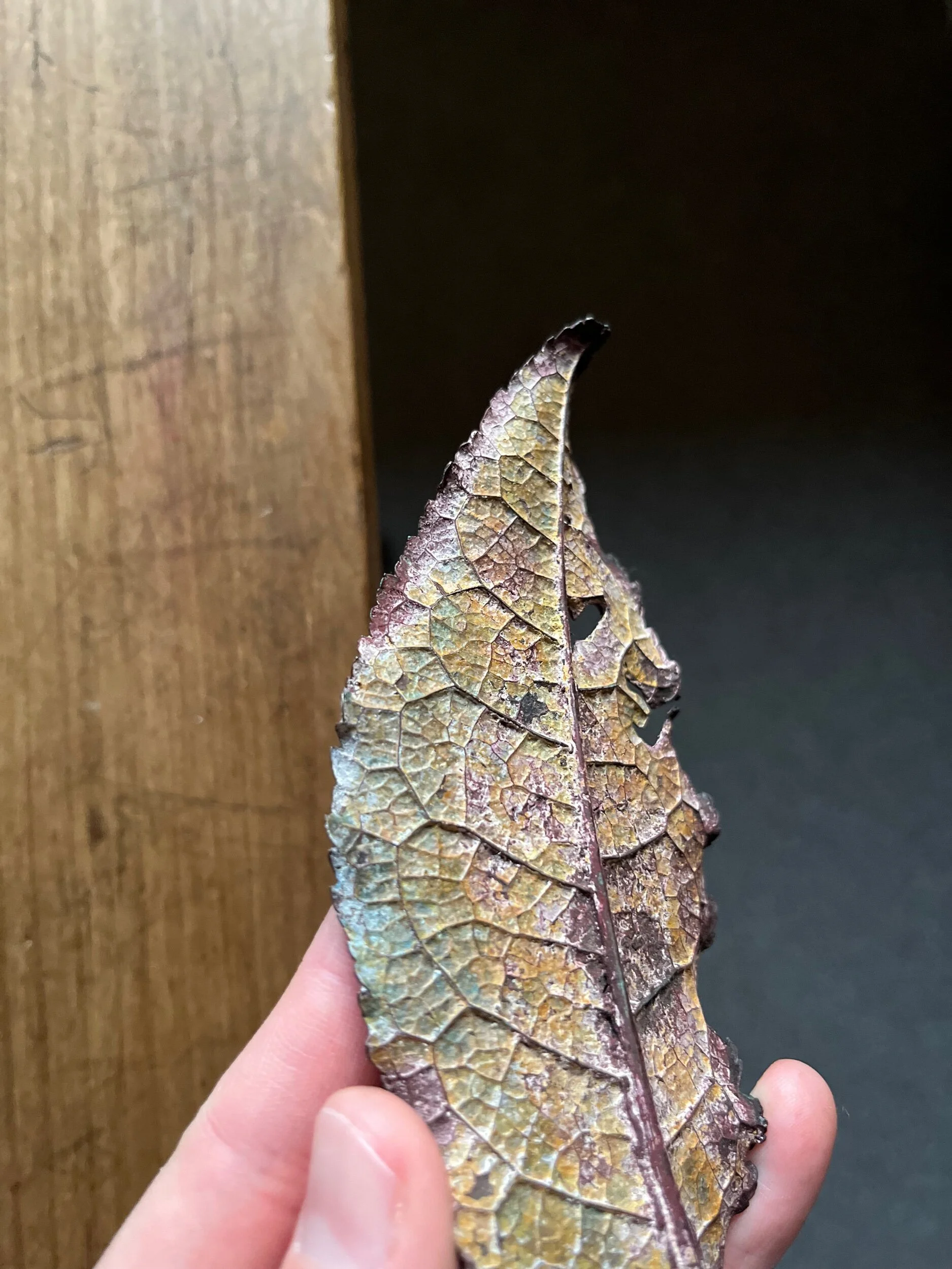 74902419-F7DC-45CB-A688-D5F53EA51F91