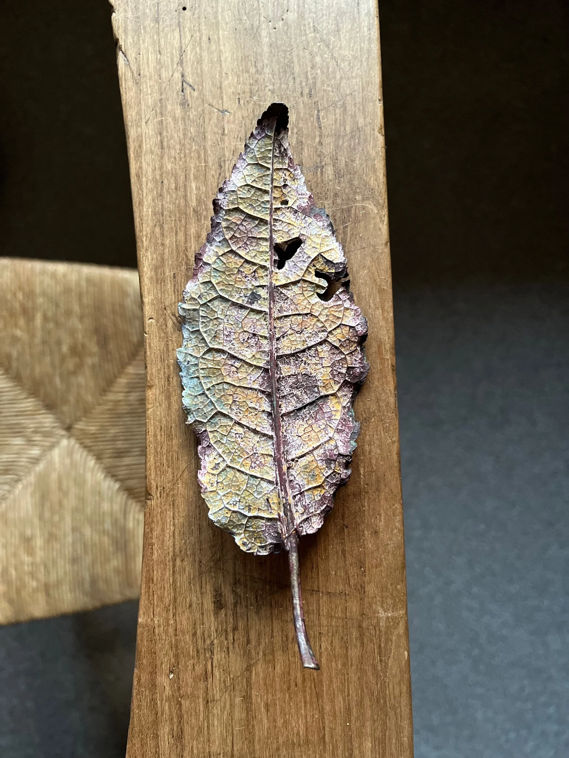 2DAACAD6-ECD9-49ED-8EF9-75635C28EFAF