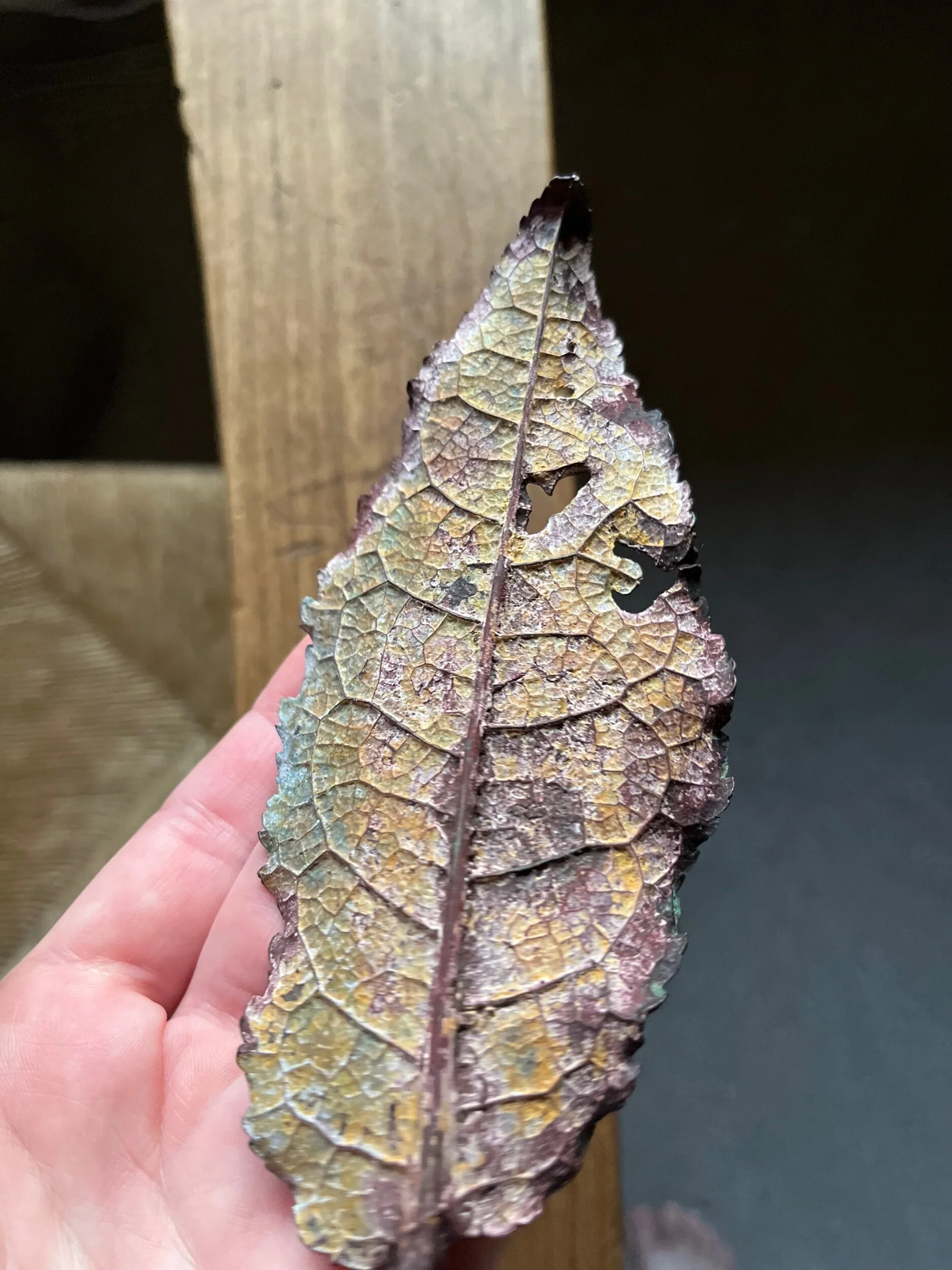 9585D550-E38B-4A88-9A19-AEAD9EA758CC