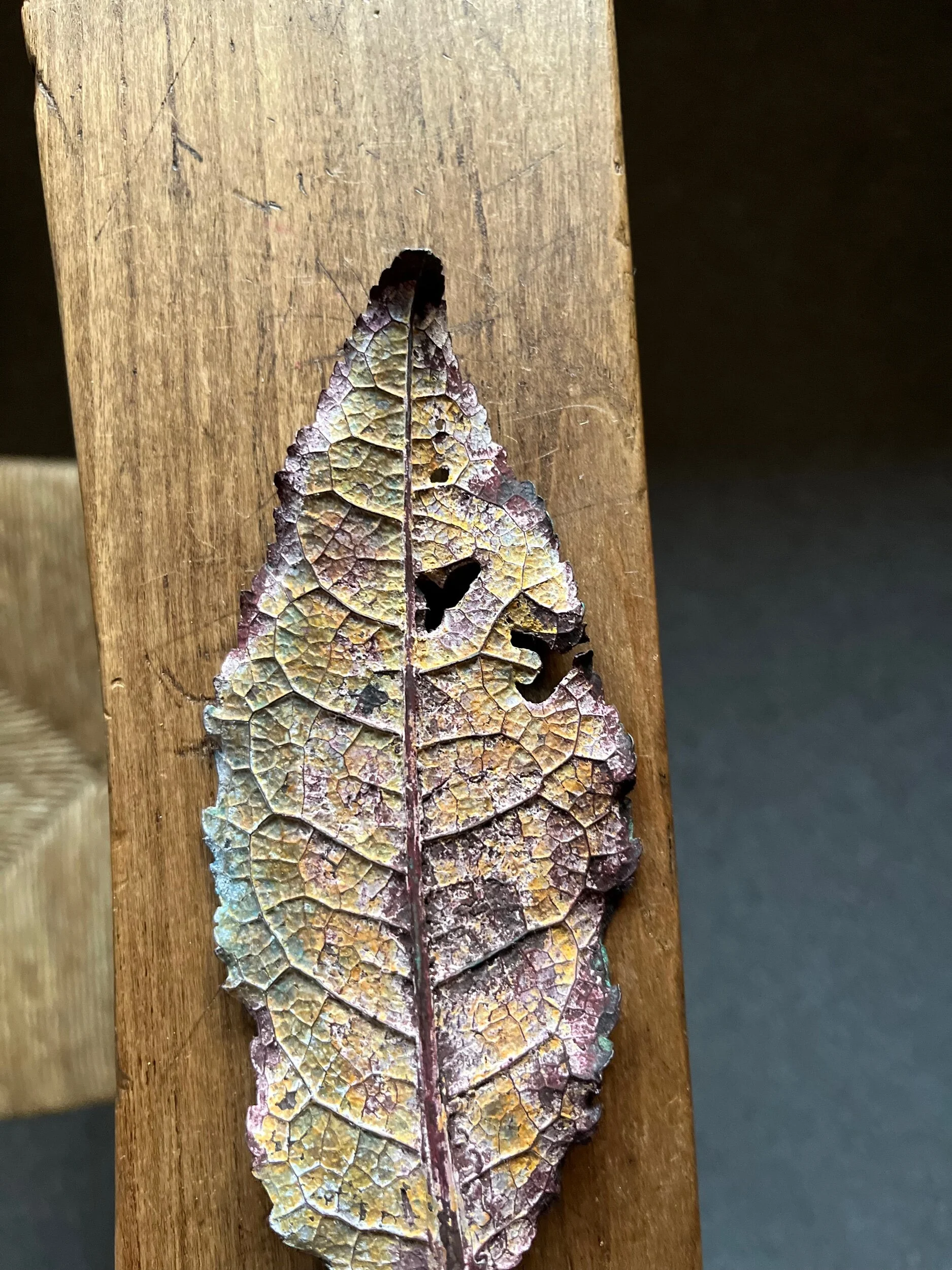 4EFEA0E8-BC92-43D1-961C-A2CDD645009E