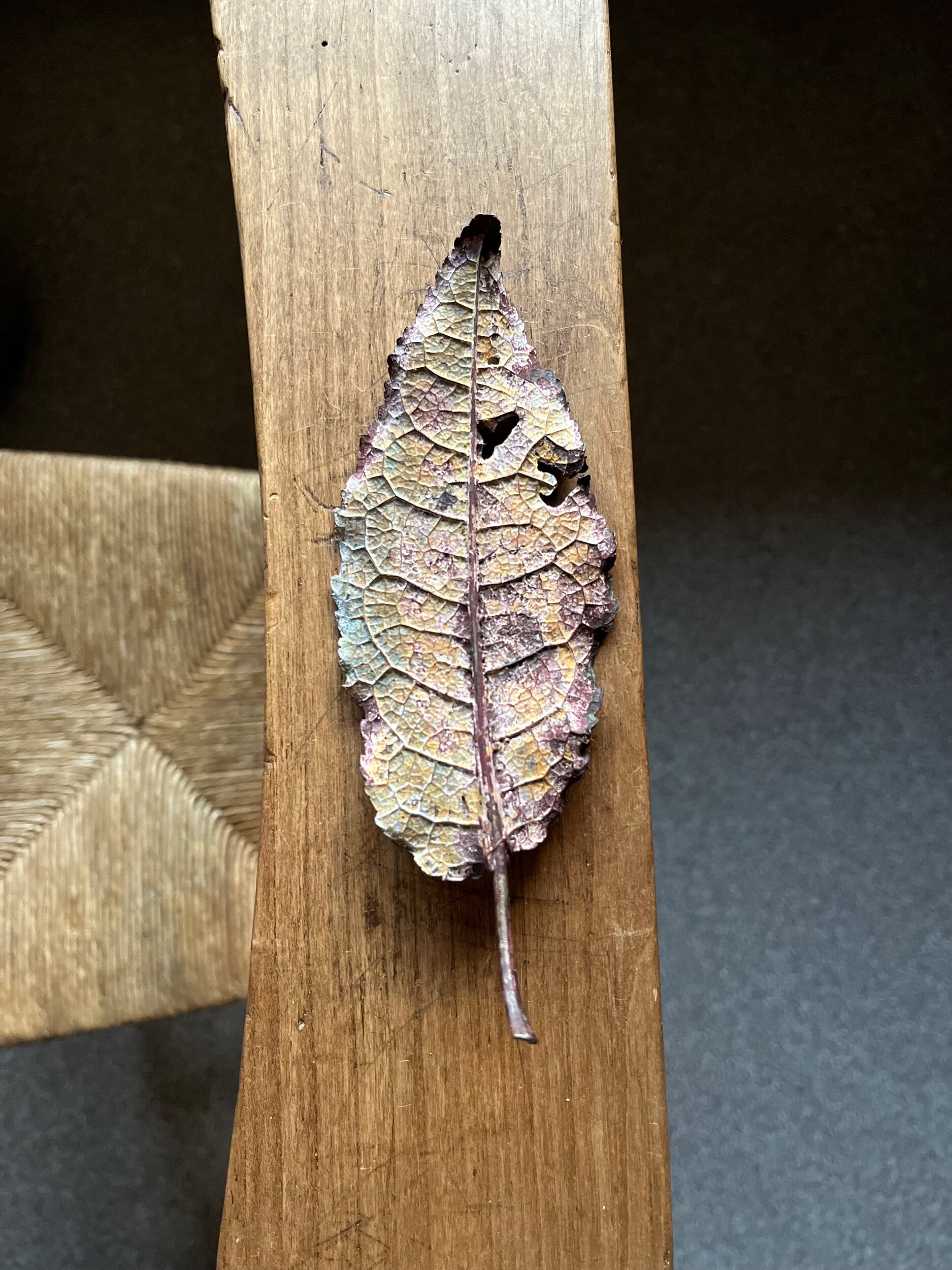 Autumn Cherry Leaf XXI