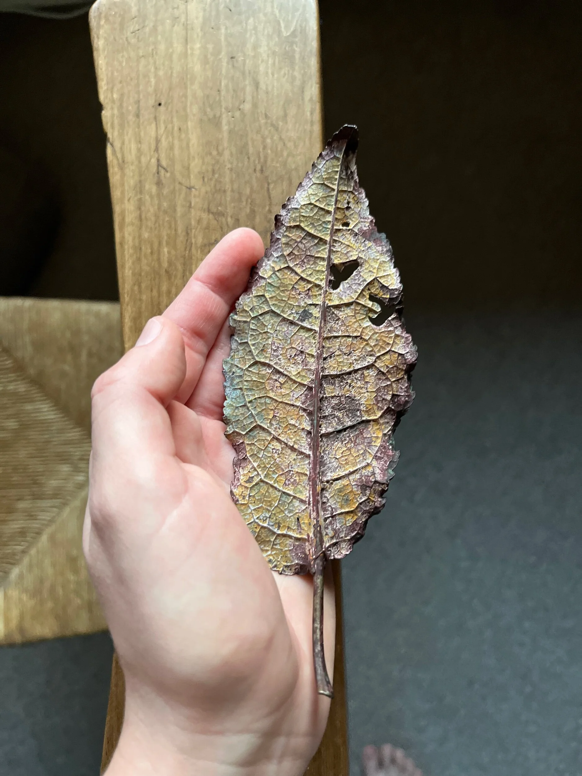 E0FAE740-3503-4E2E-827F-7FA3A532934D