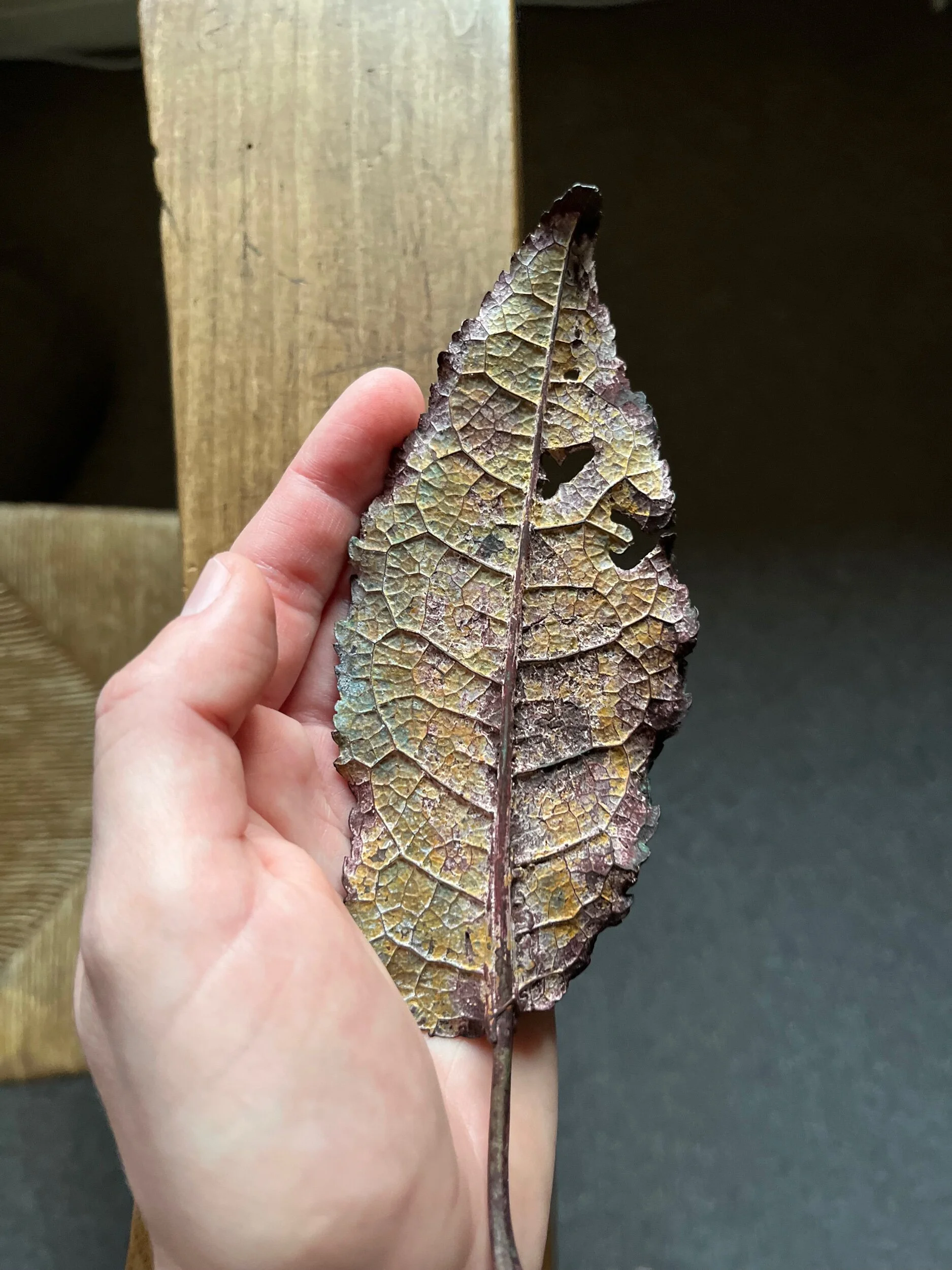 D317FAB9-6EB3-4B12-8A22-4A3BA0E3A224