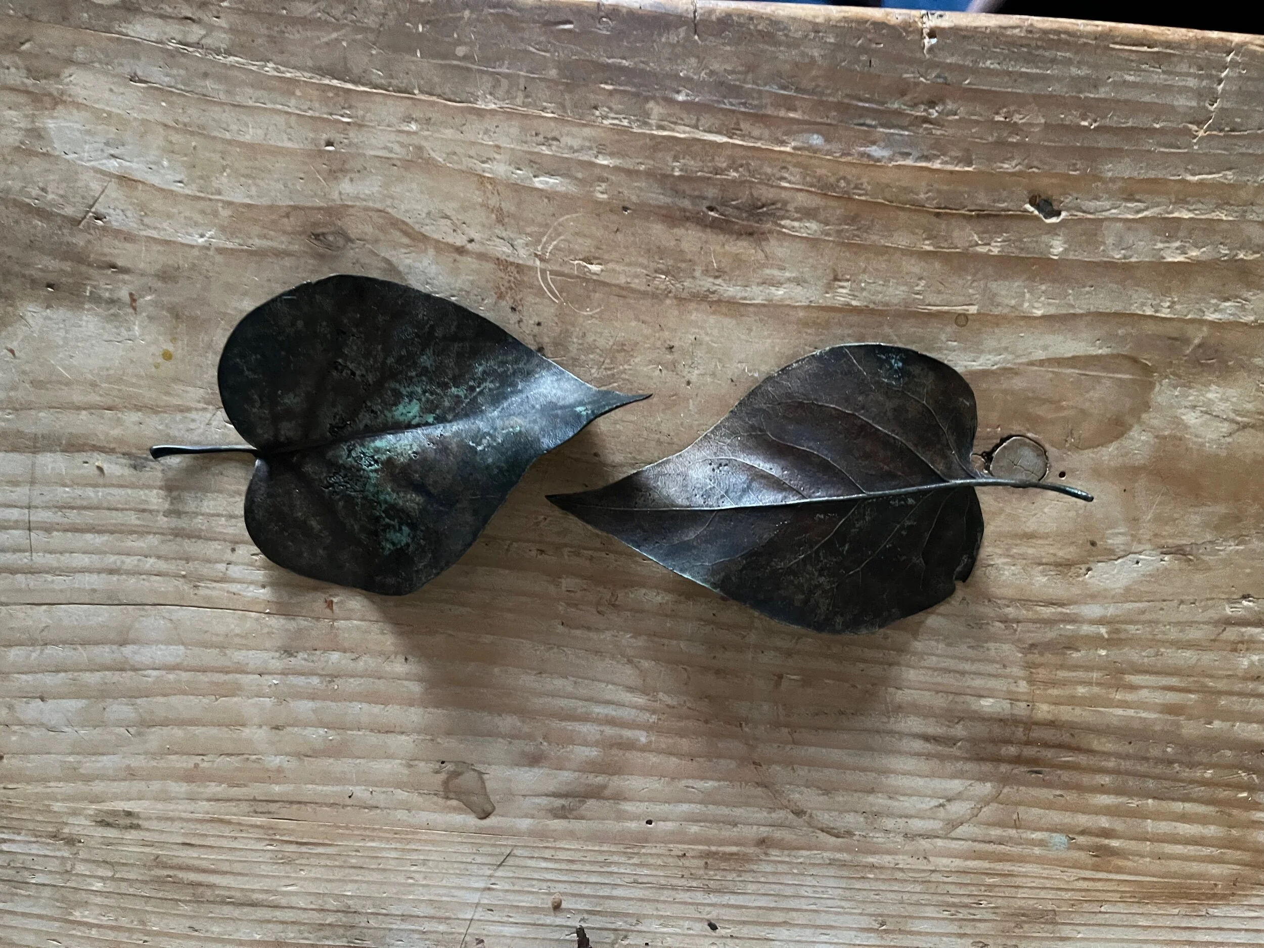 8F0E5E2A-64C9-466D-B16D-FF316E74EC5A