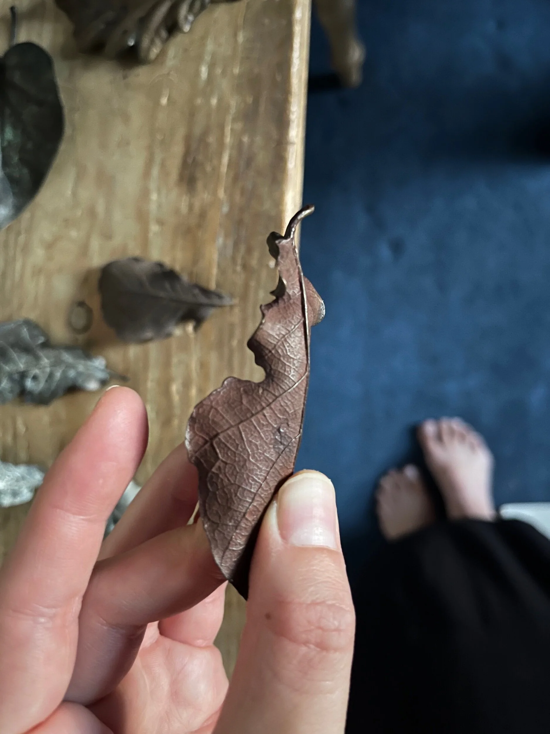 2B10AE54-6C69-417A-8258-5E3FD8C27C95