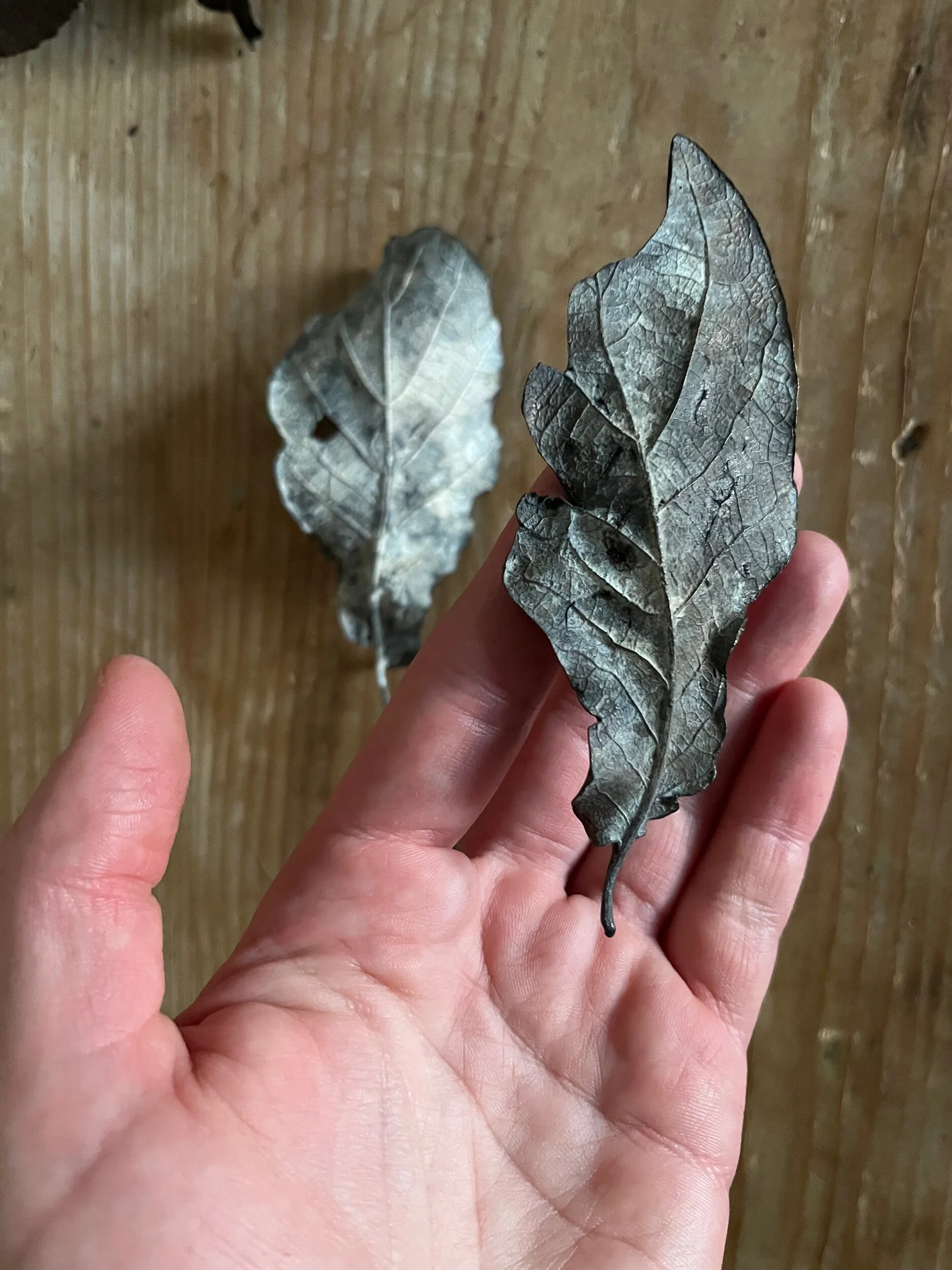 003757E1-F3E8-4690-93D4-3E93EB1C1120