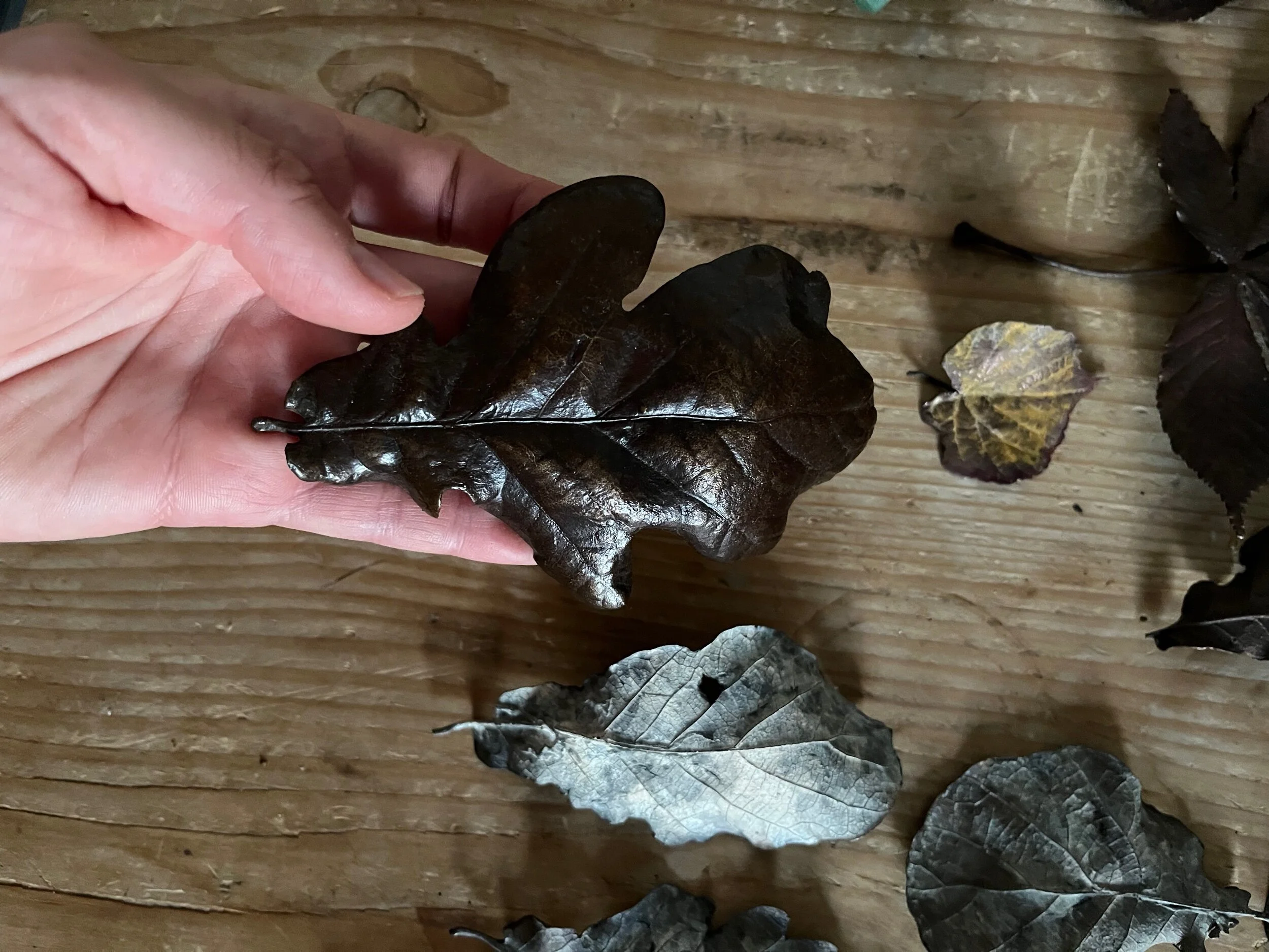 E51CDFC8-854E-444E-9A16-62ACC83A4AE0